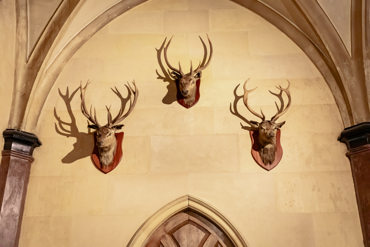 Stags Heads