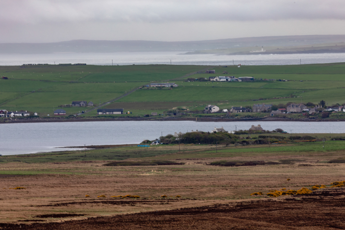 Looking Across Longhope Sound from Wee Fea