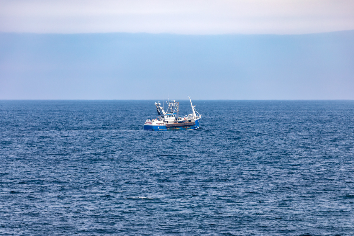 Fishing Boat, Summer Rose - Oban, Pentland Firth