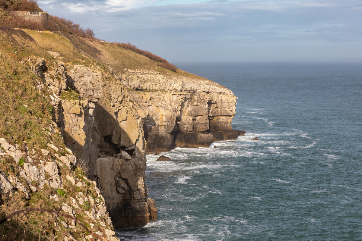 Sea Cliffs, Durlston Country Park, Dorset