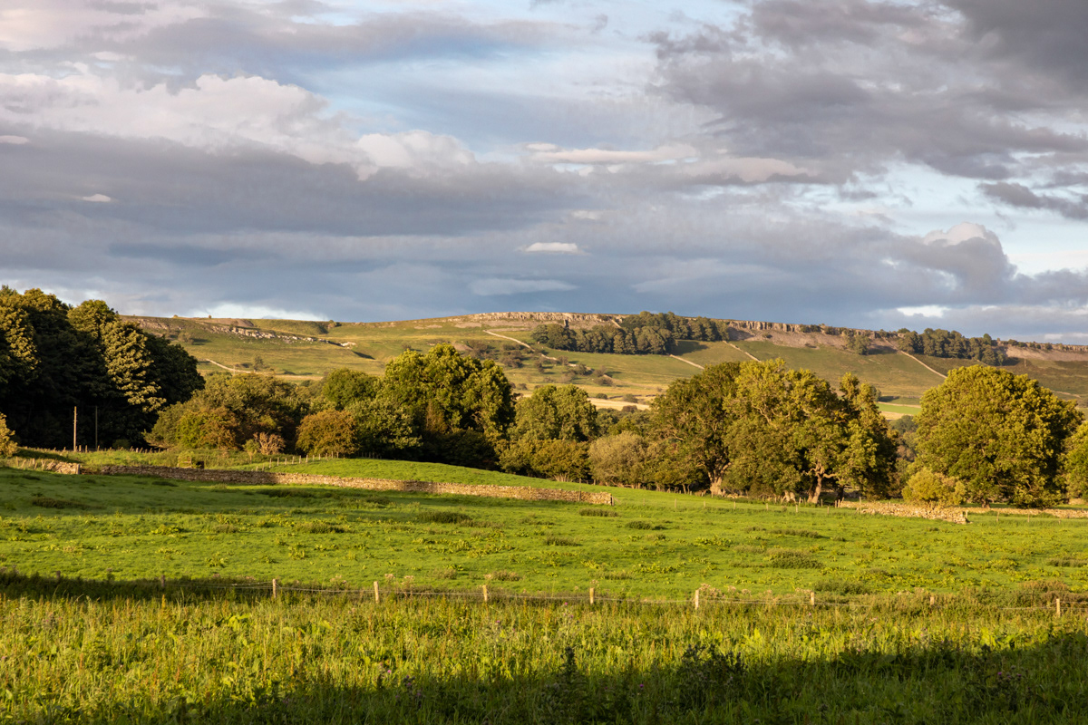 Redmire Scar in the Evening Sun