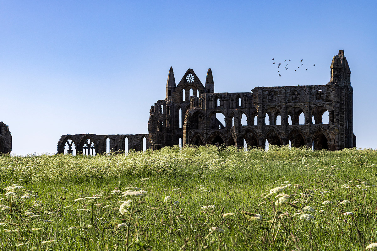 Whitby Abbey