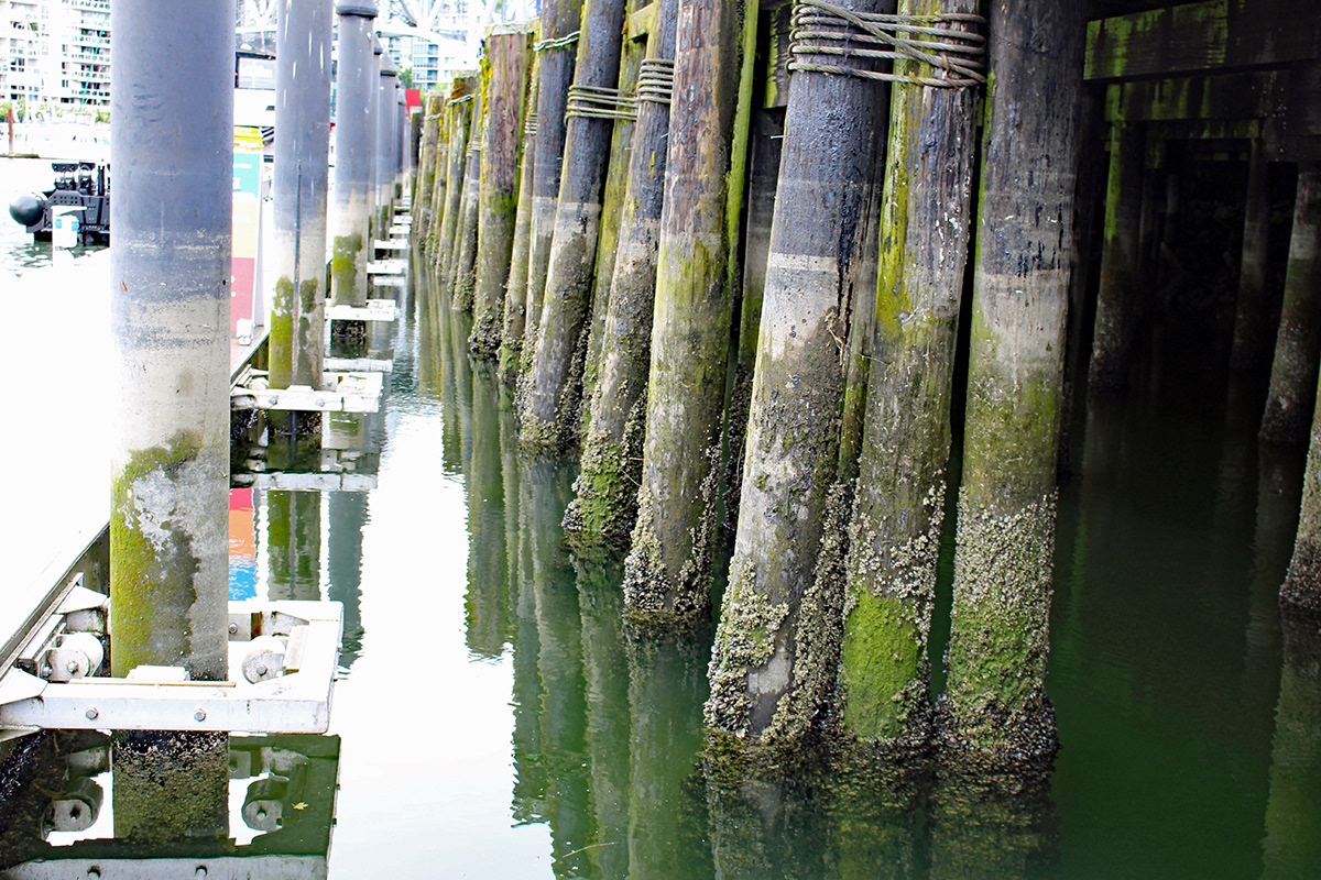 Pier Pillars, Granville Island, Vancouver