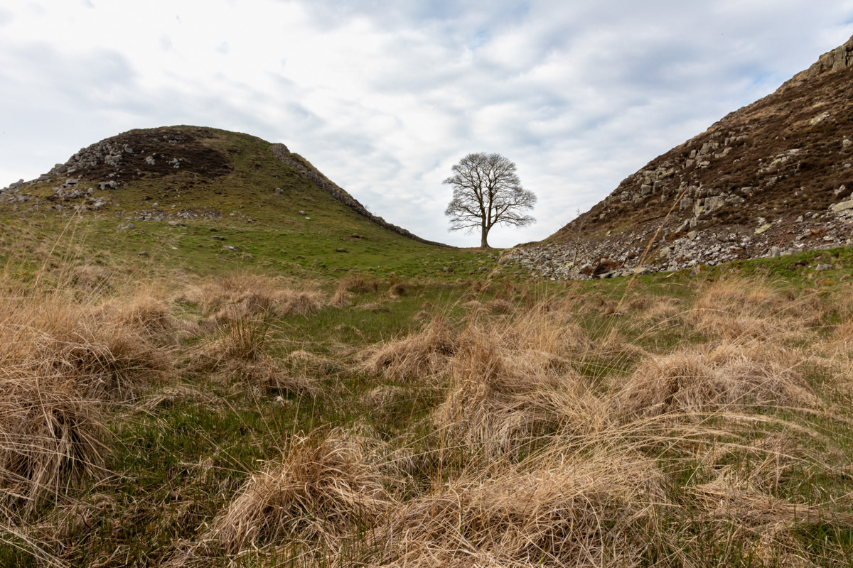 Sycamore Gap, Hadrian's Wall (2)