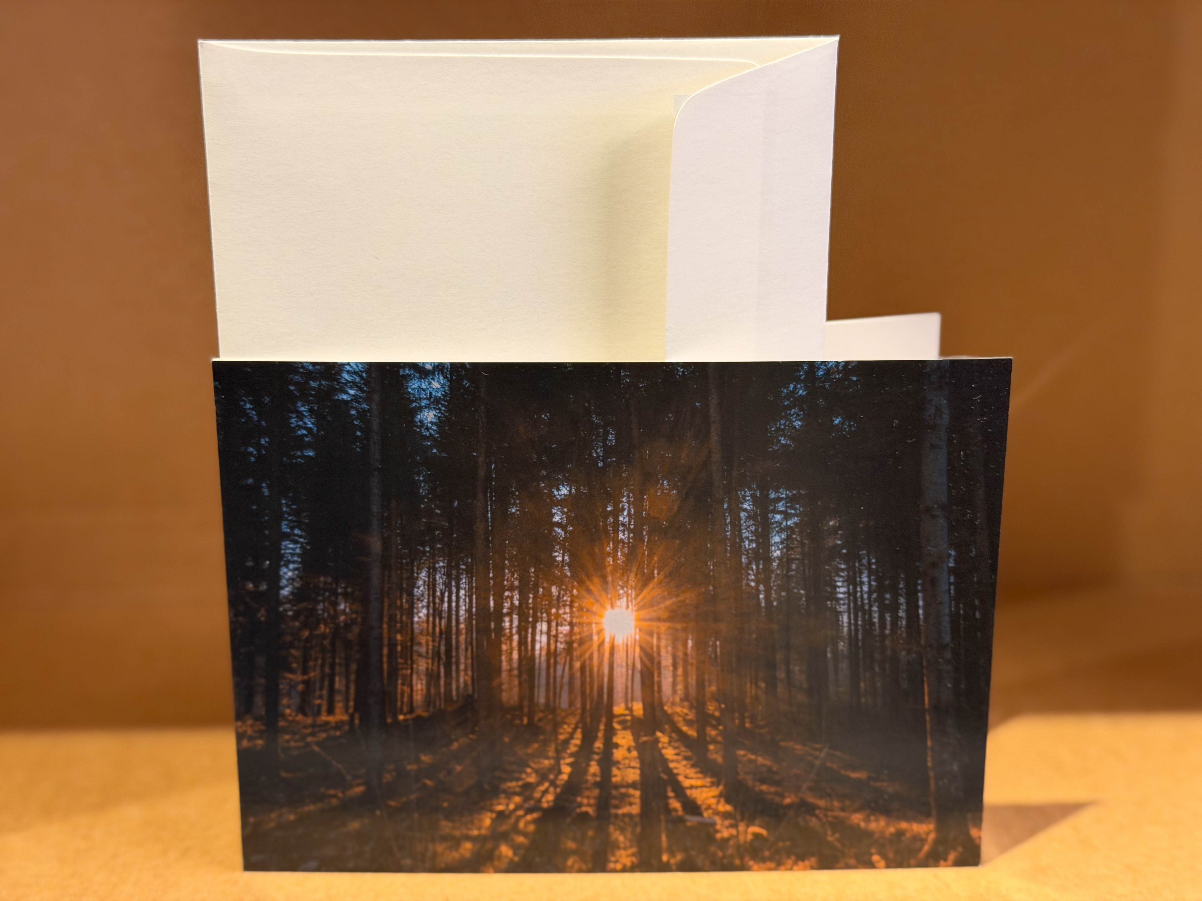 Sonnenaufgang im Wald