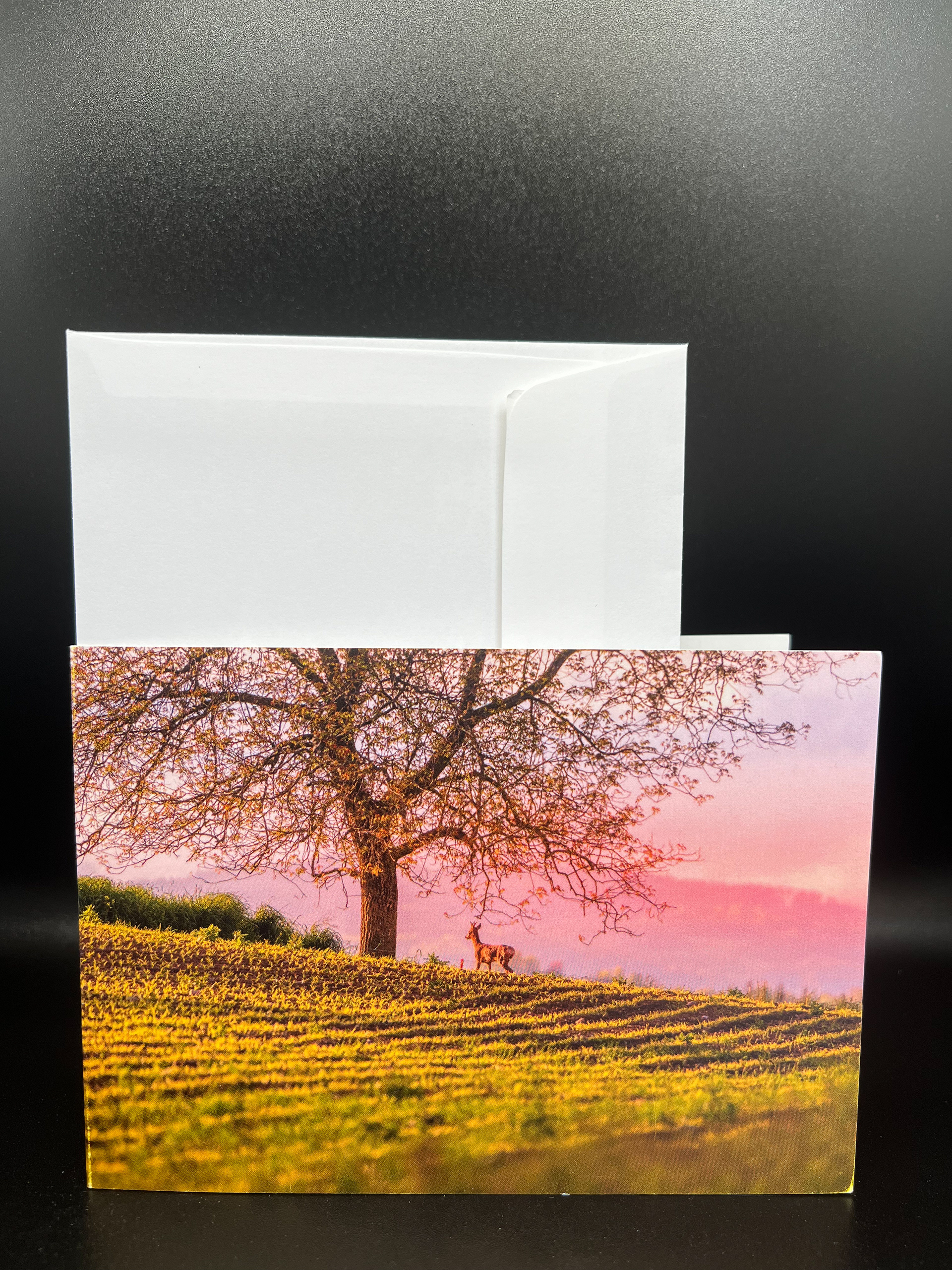 Reh unter Baum im Sonnenuntergang