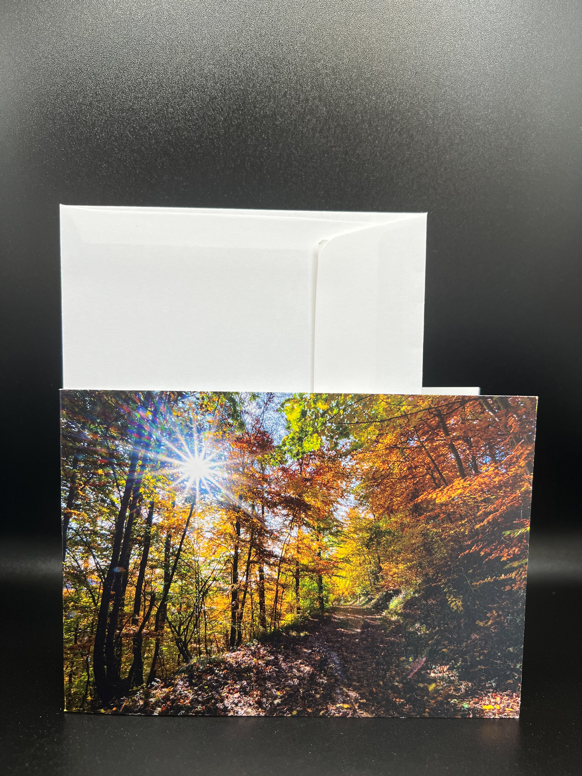 Herbststimmung am Sonnenberg