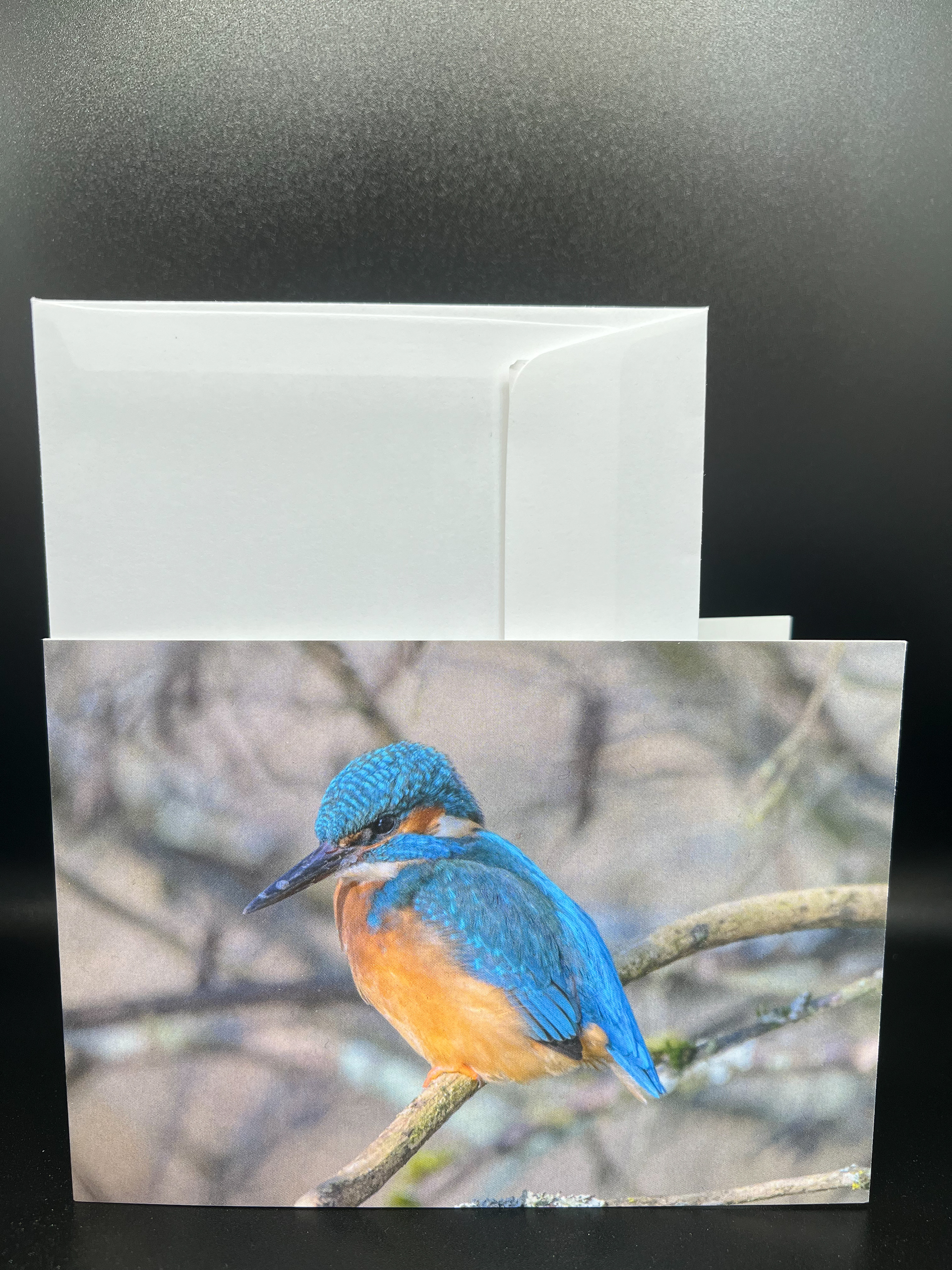 Eisvogel