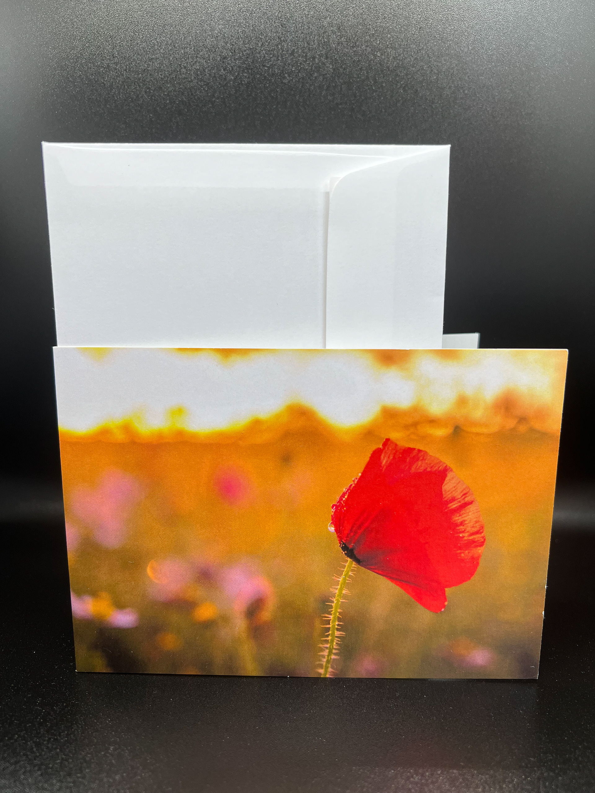 Mohnblume