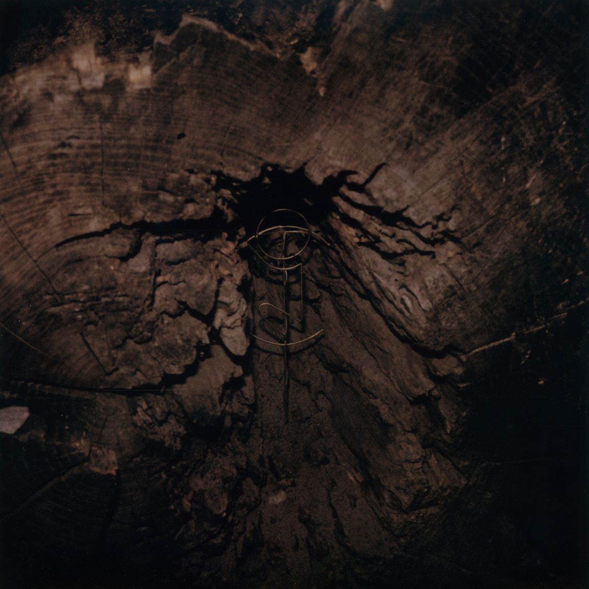 Jewelry by Patrick Mathers. Polaroid.