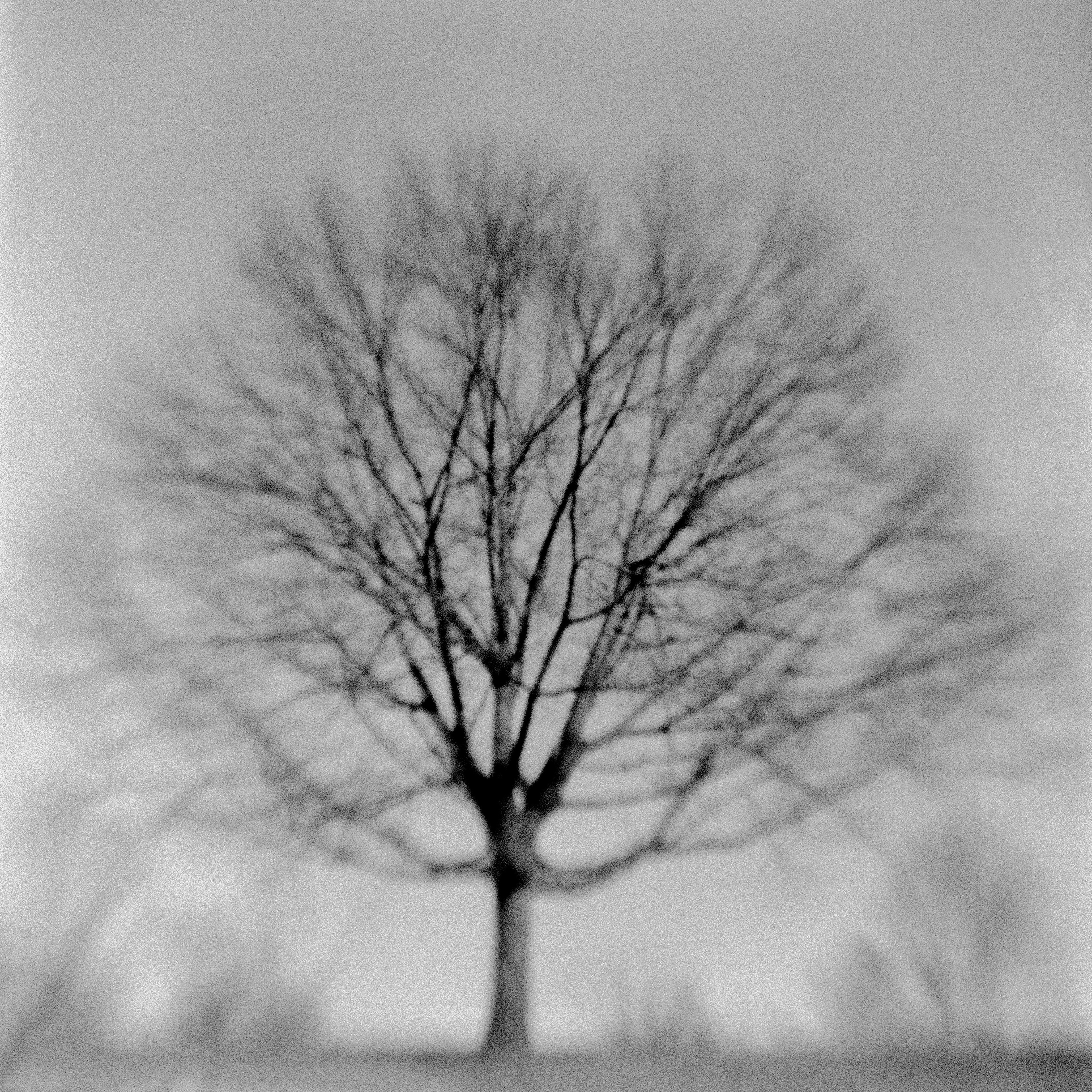 Lung, 2023. Kodak Brownie Hawkeye x Ilford Delta 3200