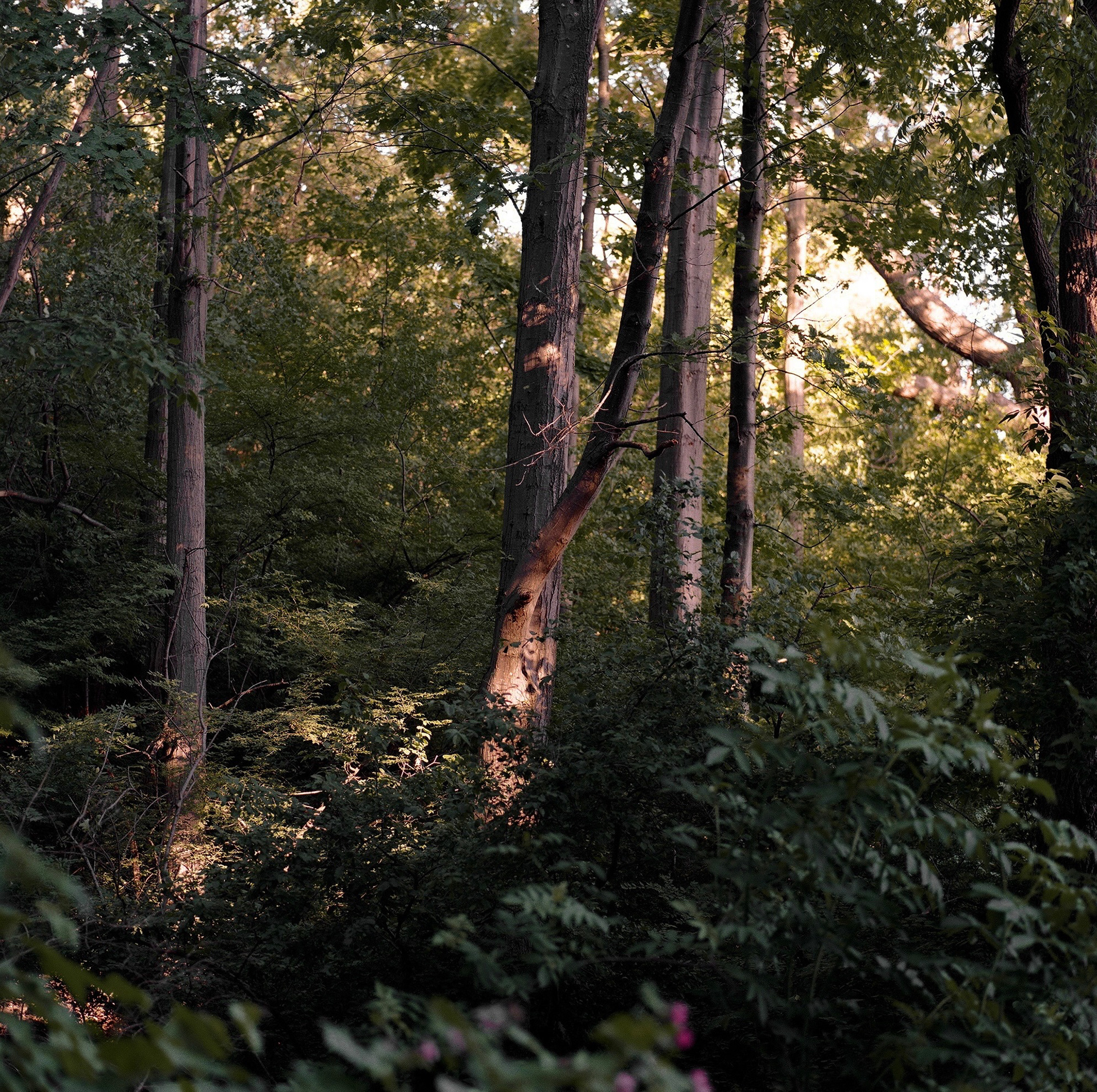 2022. Hasselblad 500 C/M x Kodak Portra 800.