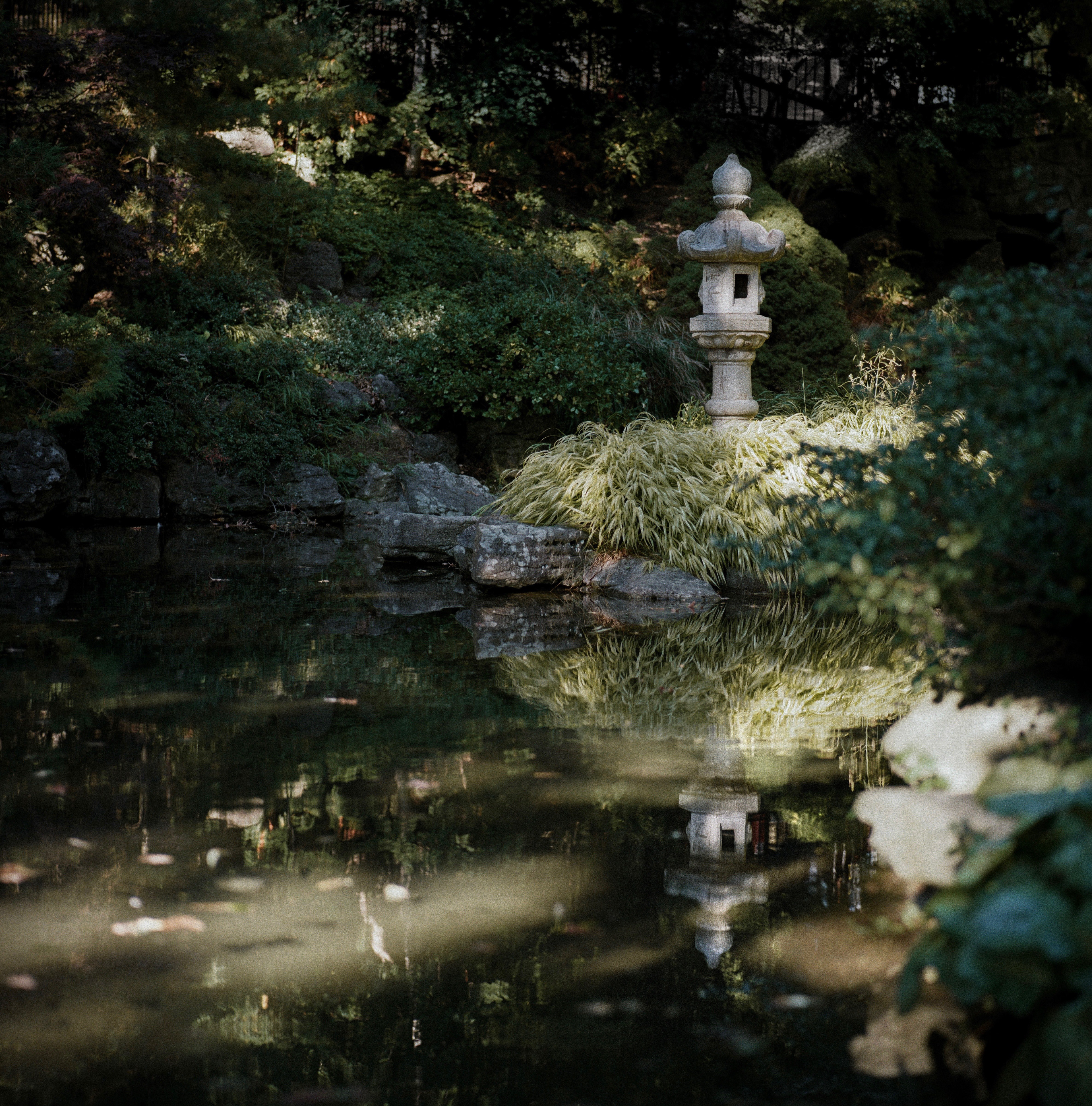 The Secret Garden, 2022. Hasselblad 500 C/M x Kodak Gold 200.