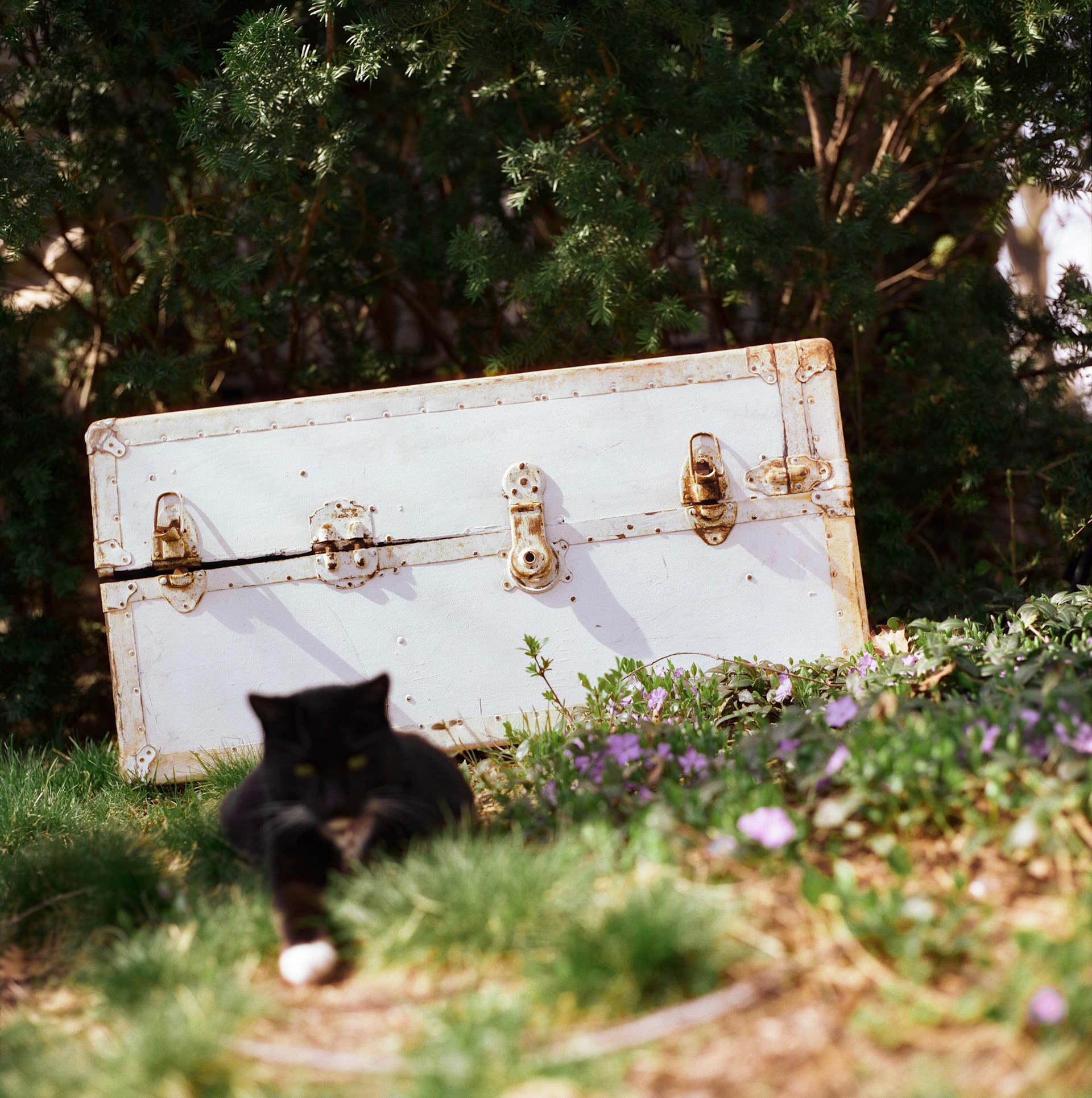 2023. Hasselblad 200 C/M x CineStill 50D.