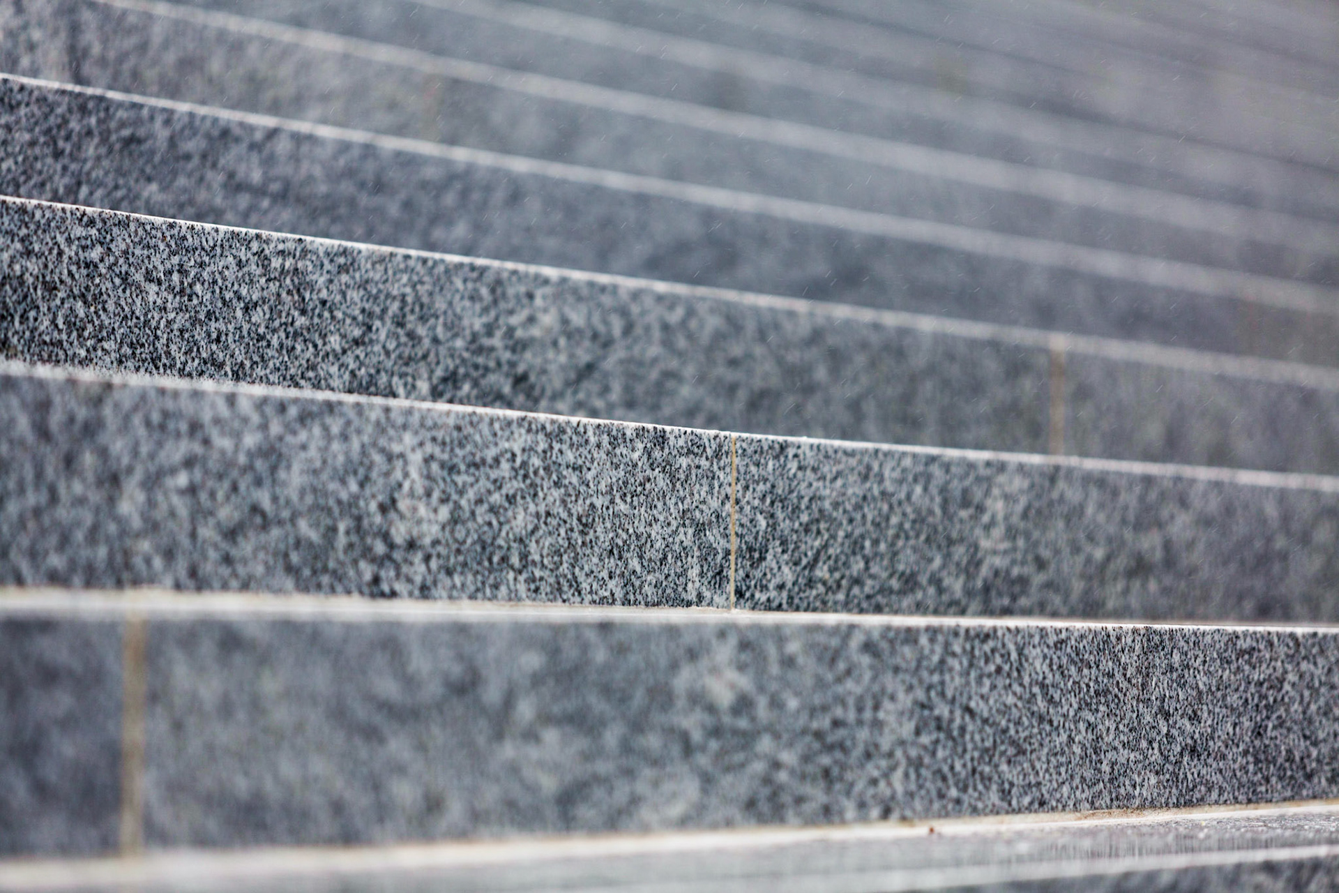 Roosevelt Island Abstract at Four Freedoms Park