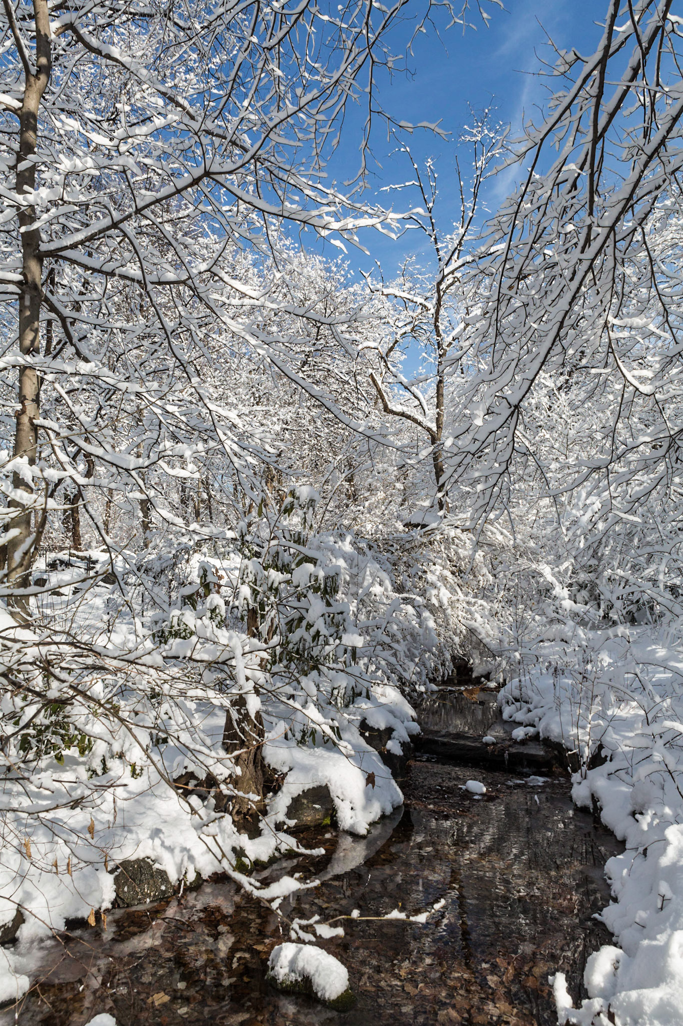 Central Park after a snowstorm in January 2014