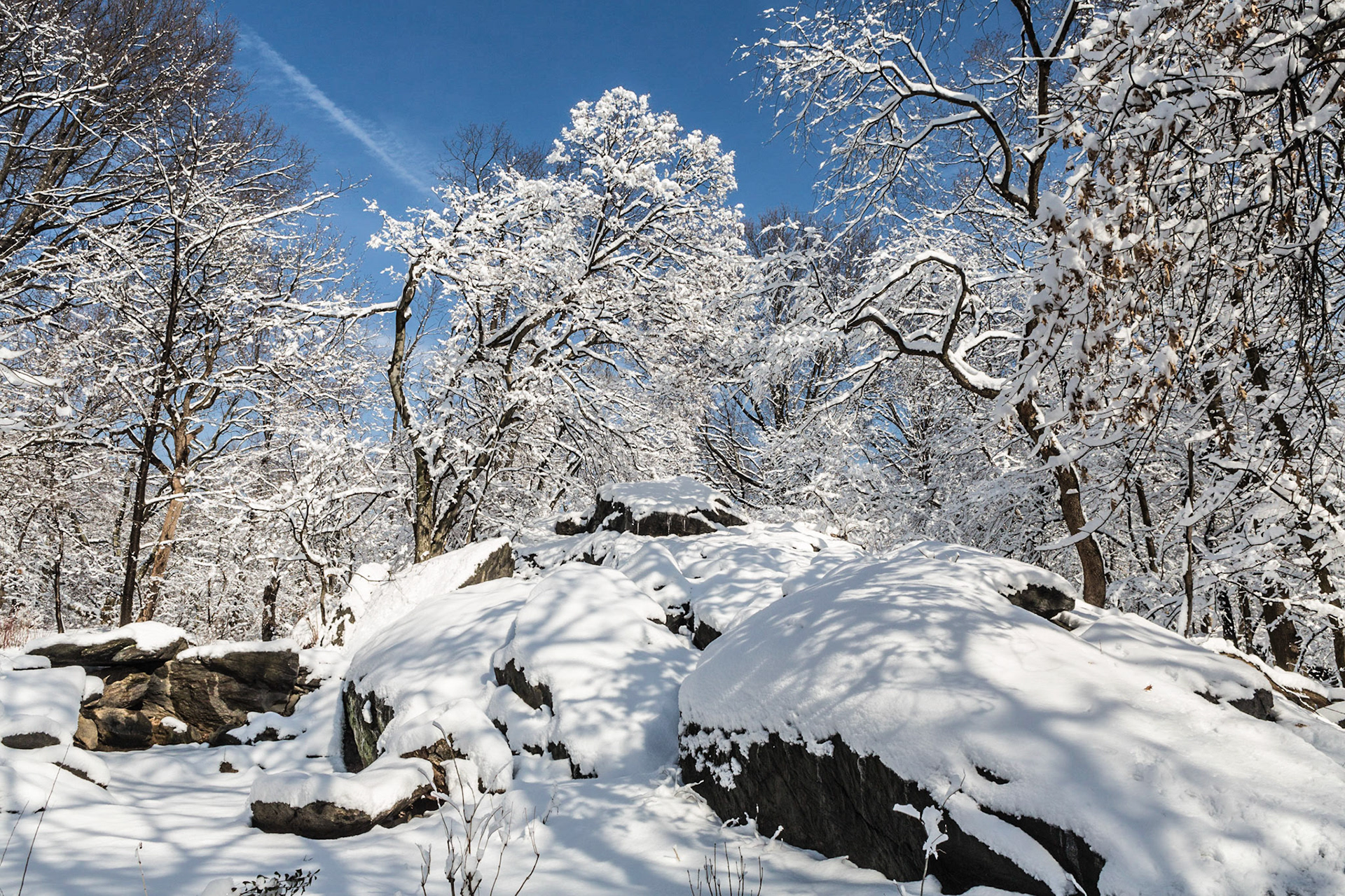 Central Park after a snowstorm in January 2014