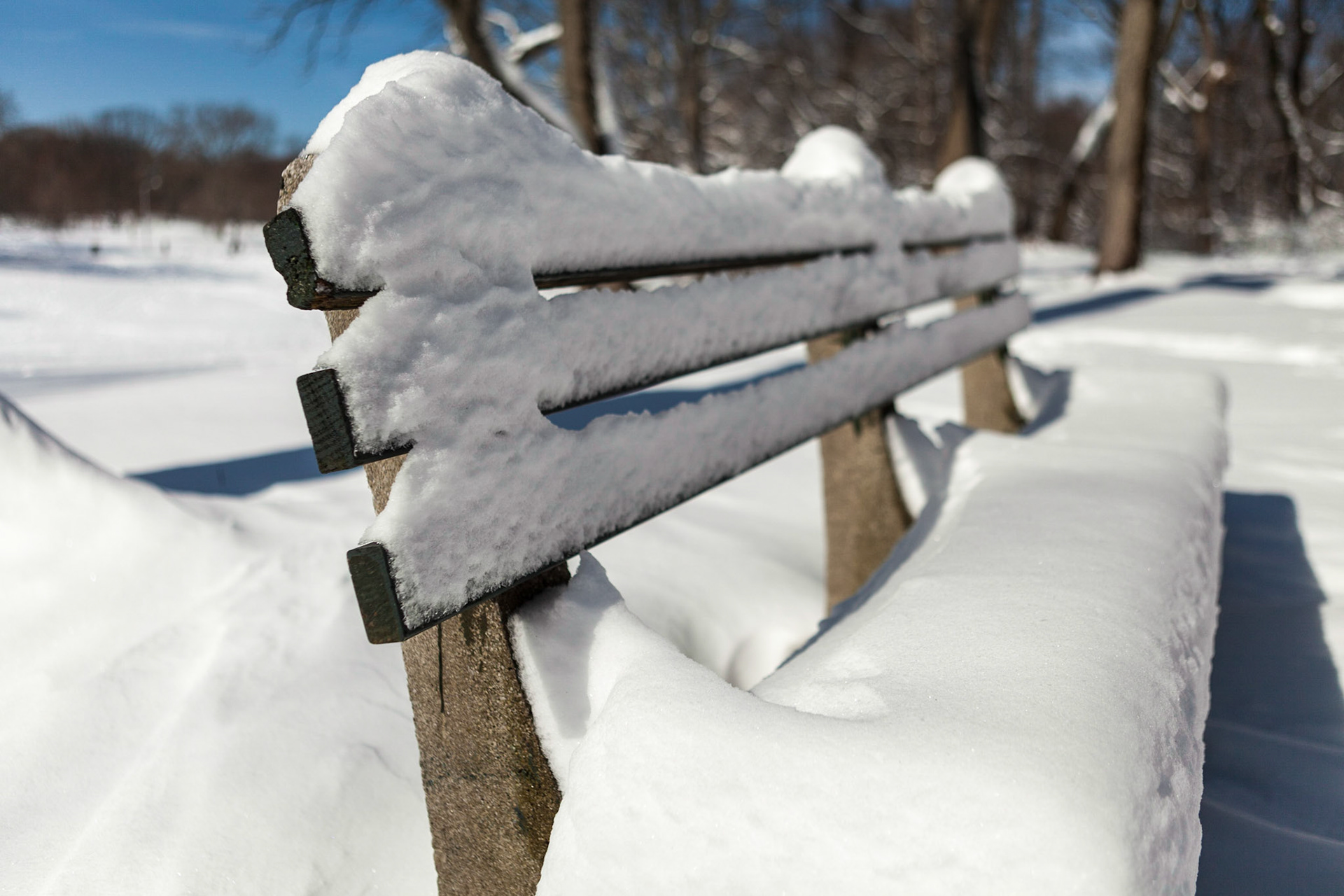 Prospect Park after Blizzard "Nemo" in early 2013