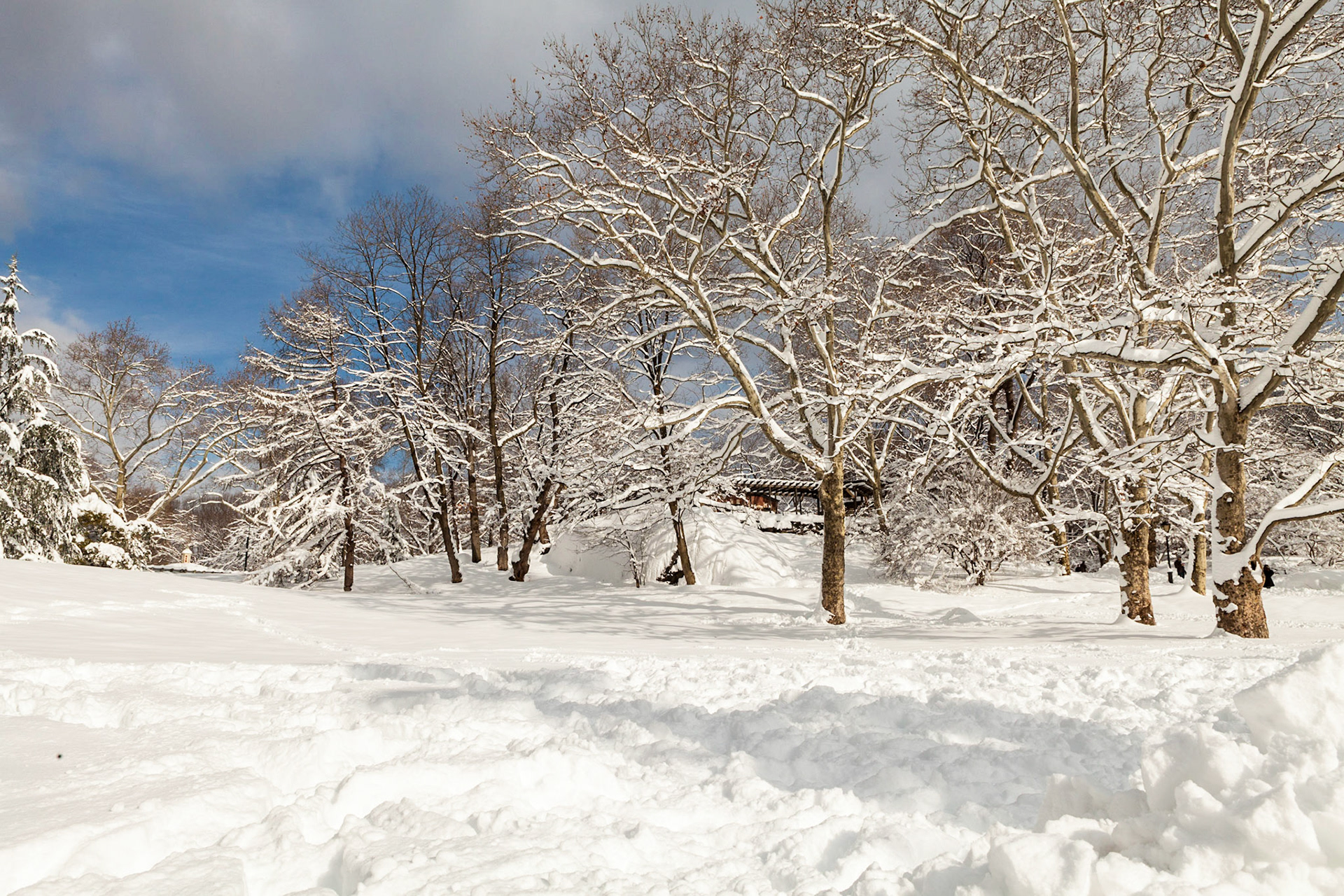 Morning after a blizzard in the southern part of Central Park