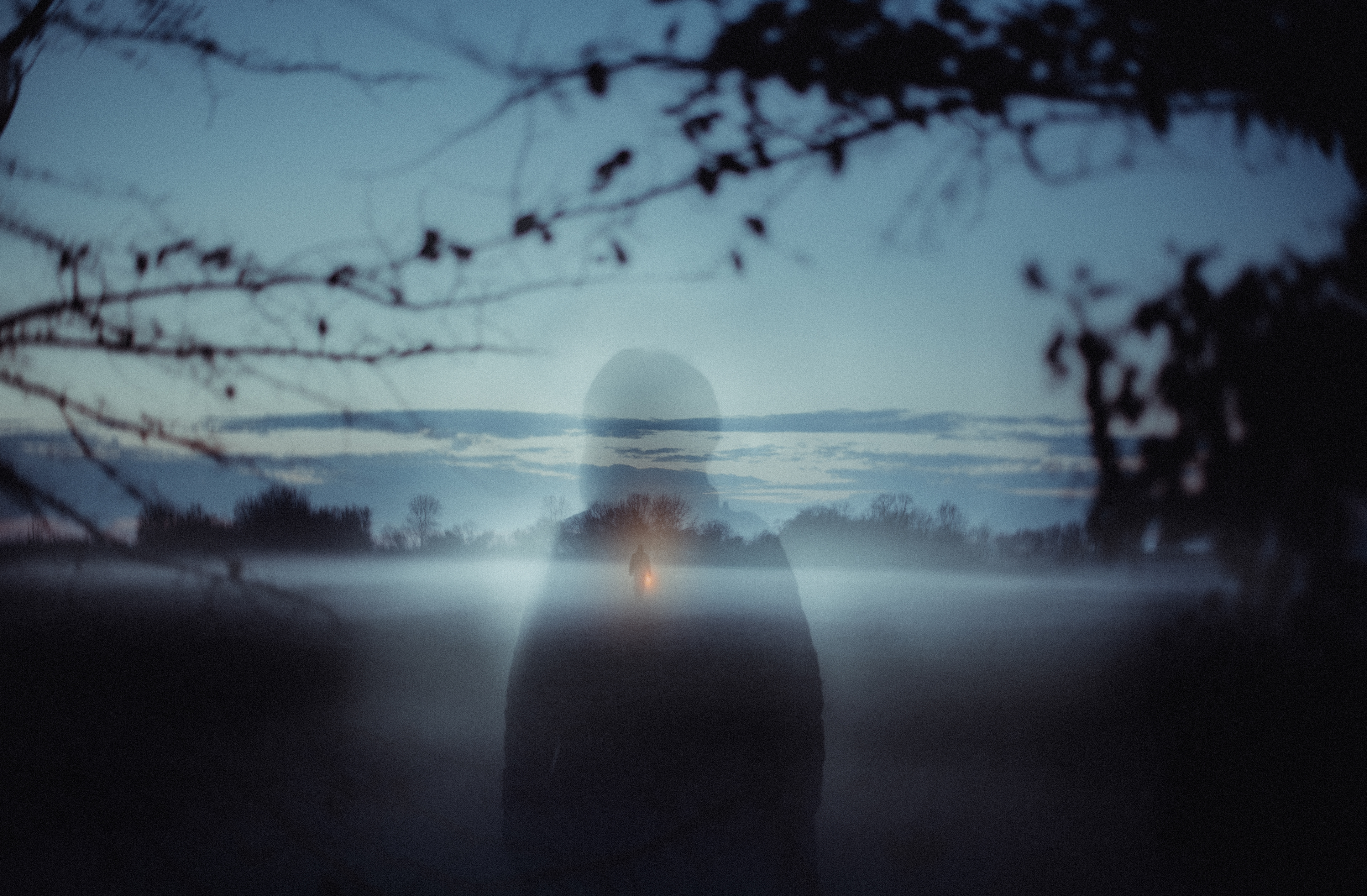 CORNFIELD - Novembre 2020