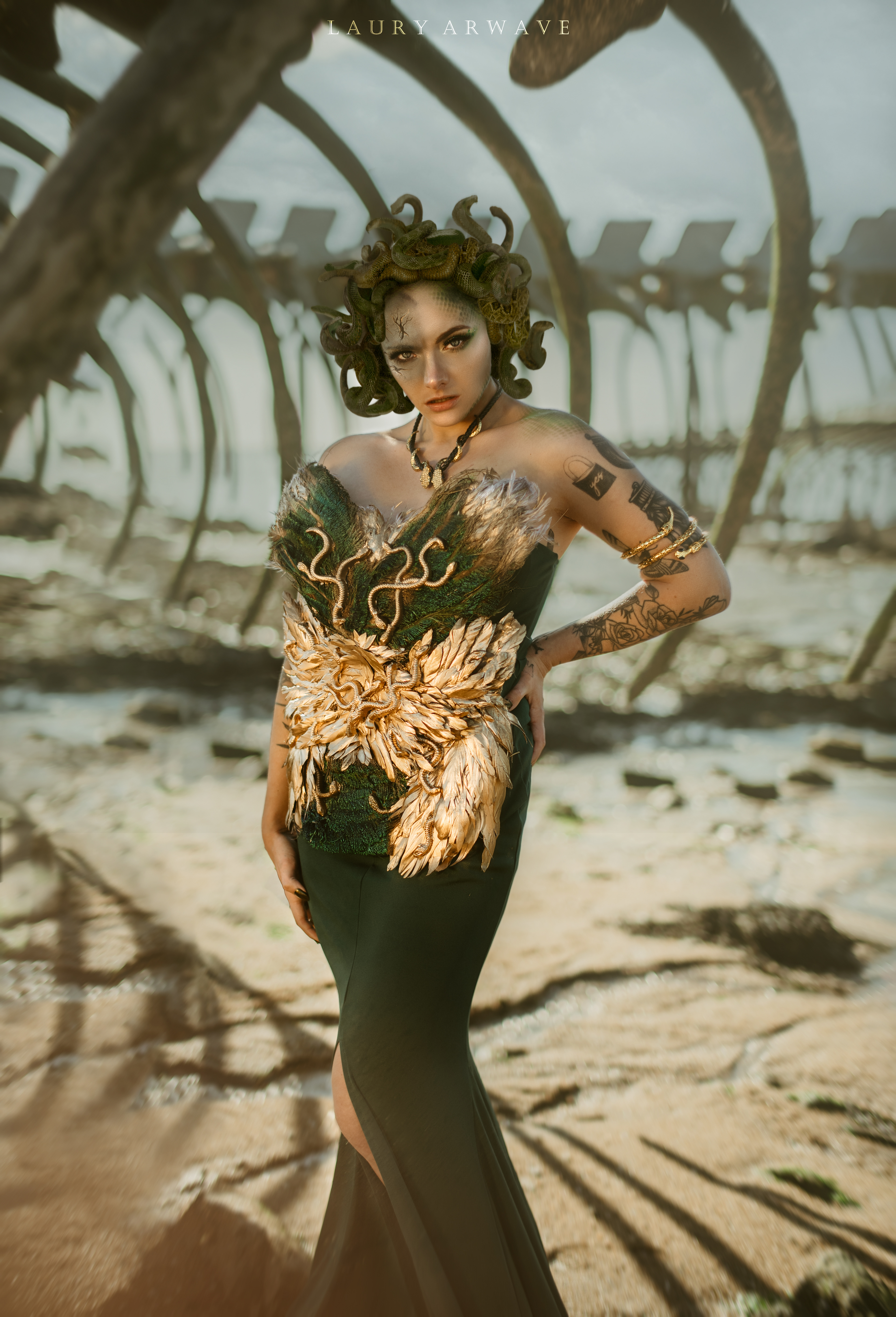 PROJET MEDUSA - Modèle Romane