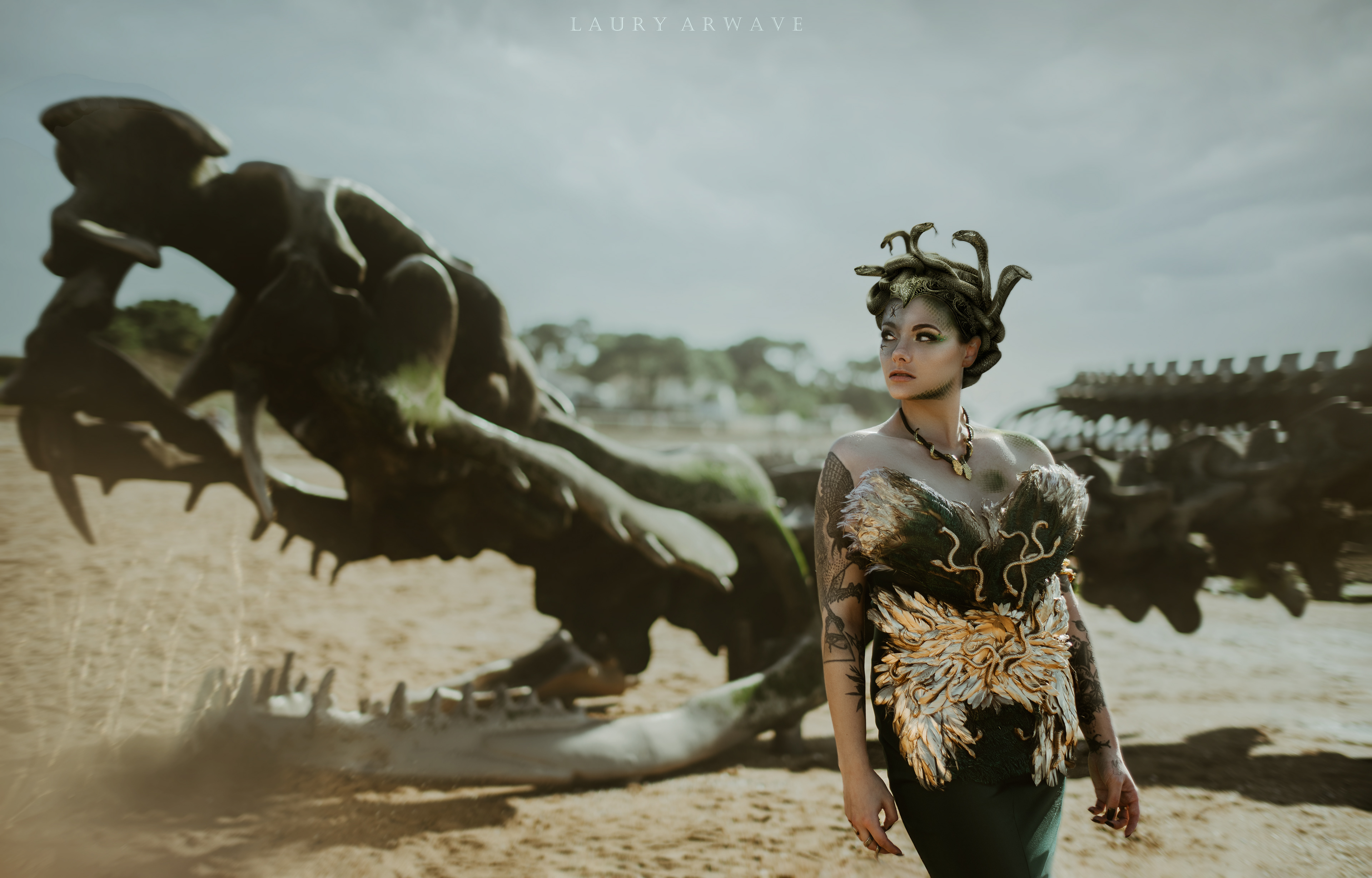 PROJET MEDUSA - Modèle Romane
