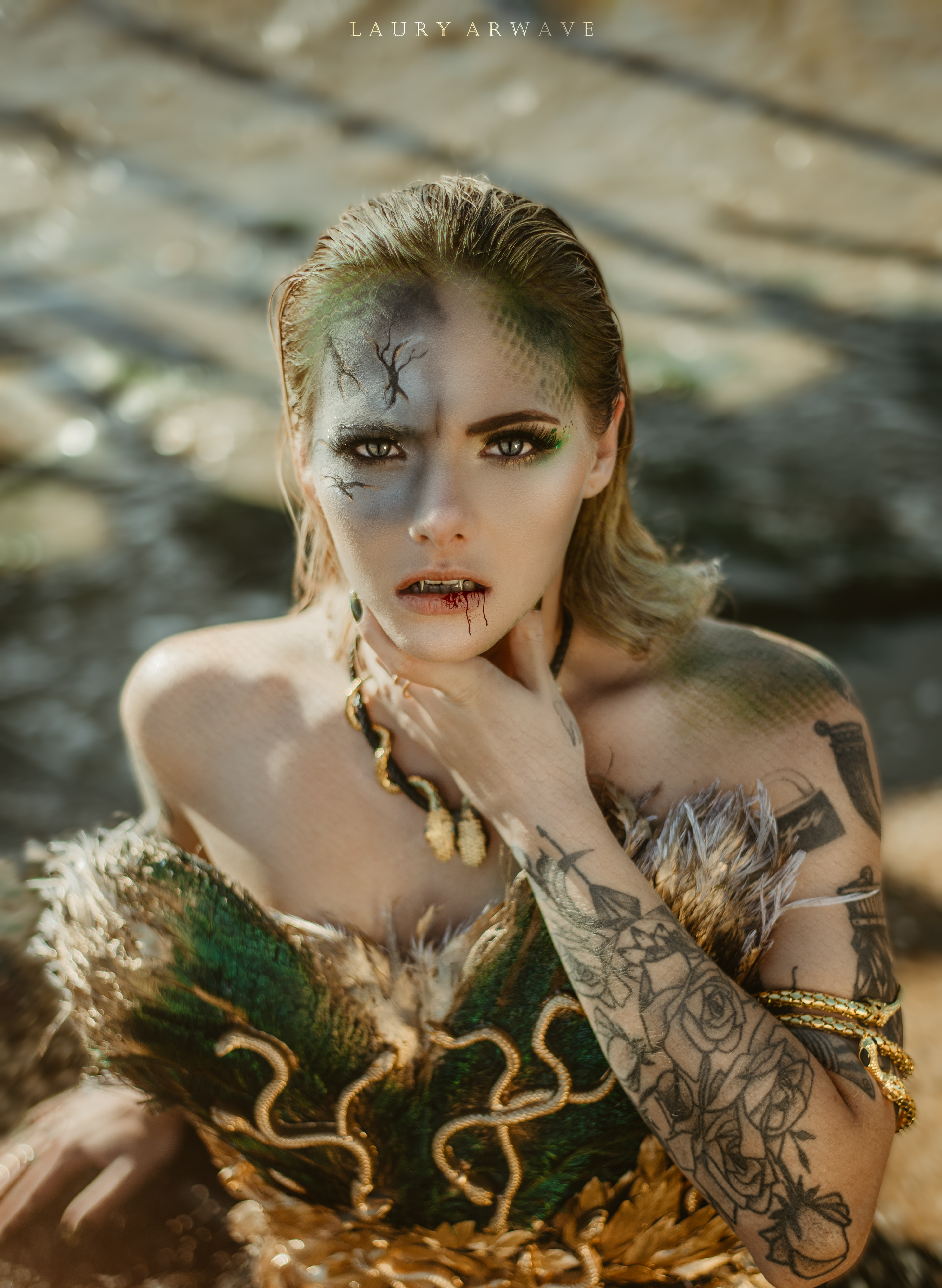 PROJET MEDUSA - Modèle Romane