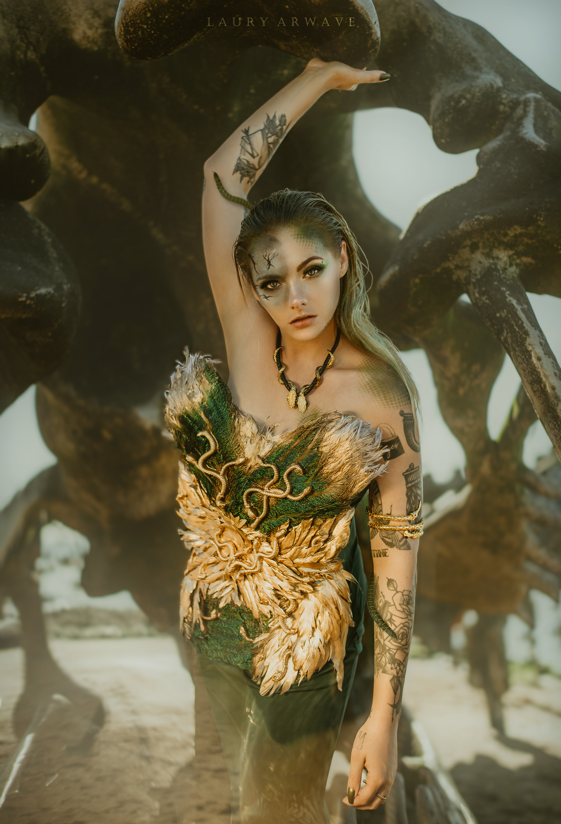PROJET MEDUSA - Modèle Romane