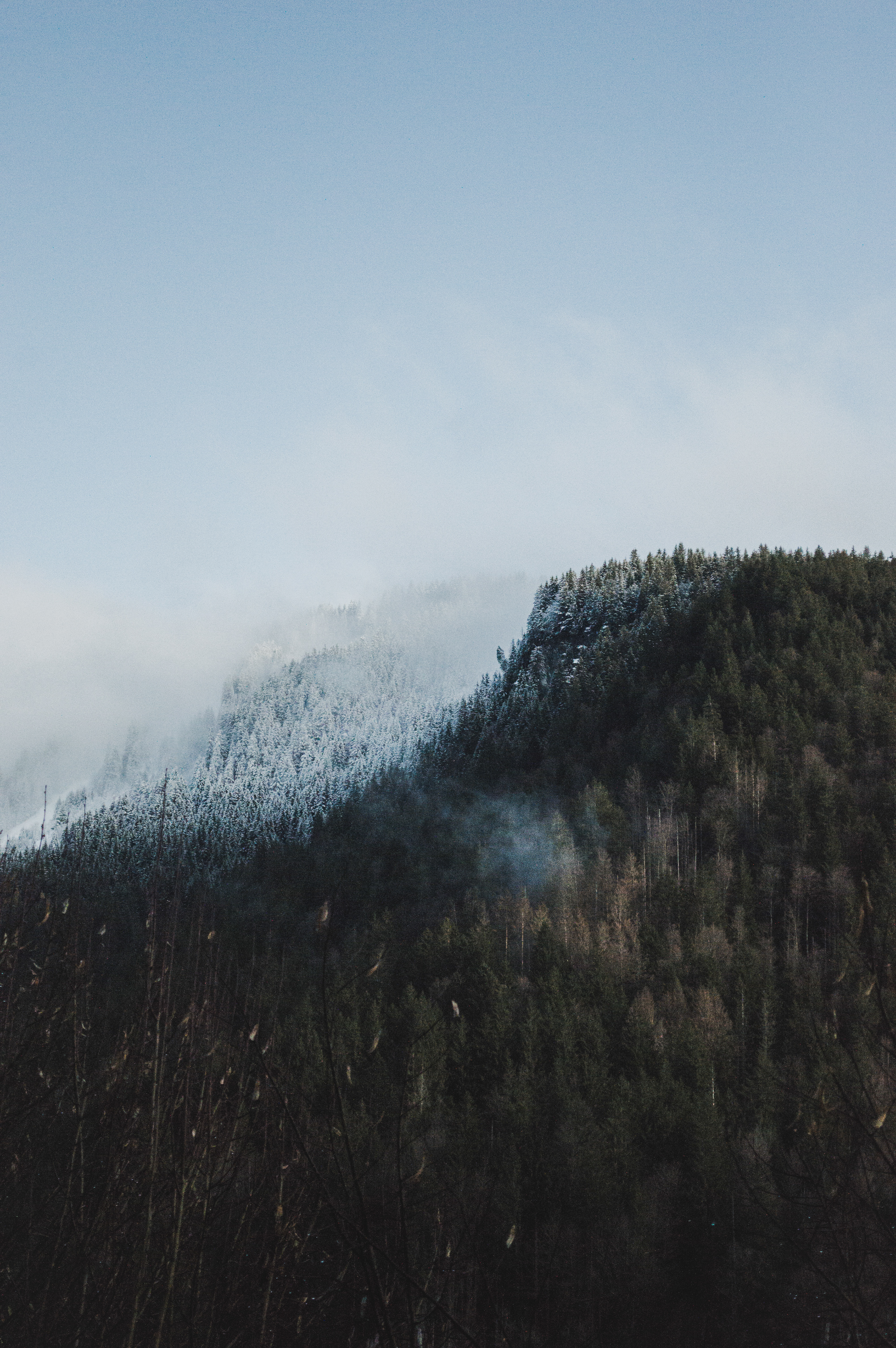 MORZINE 2019