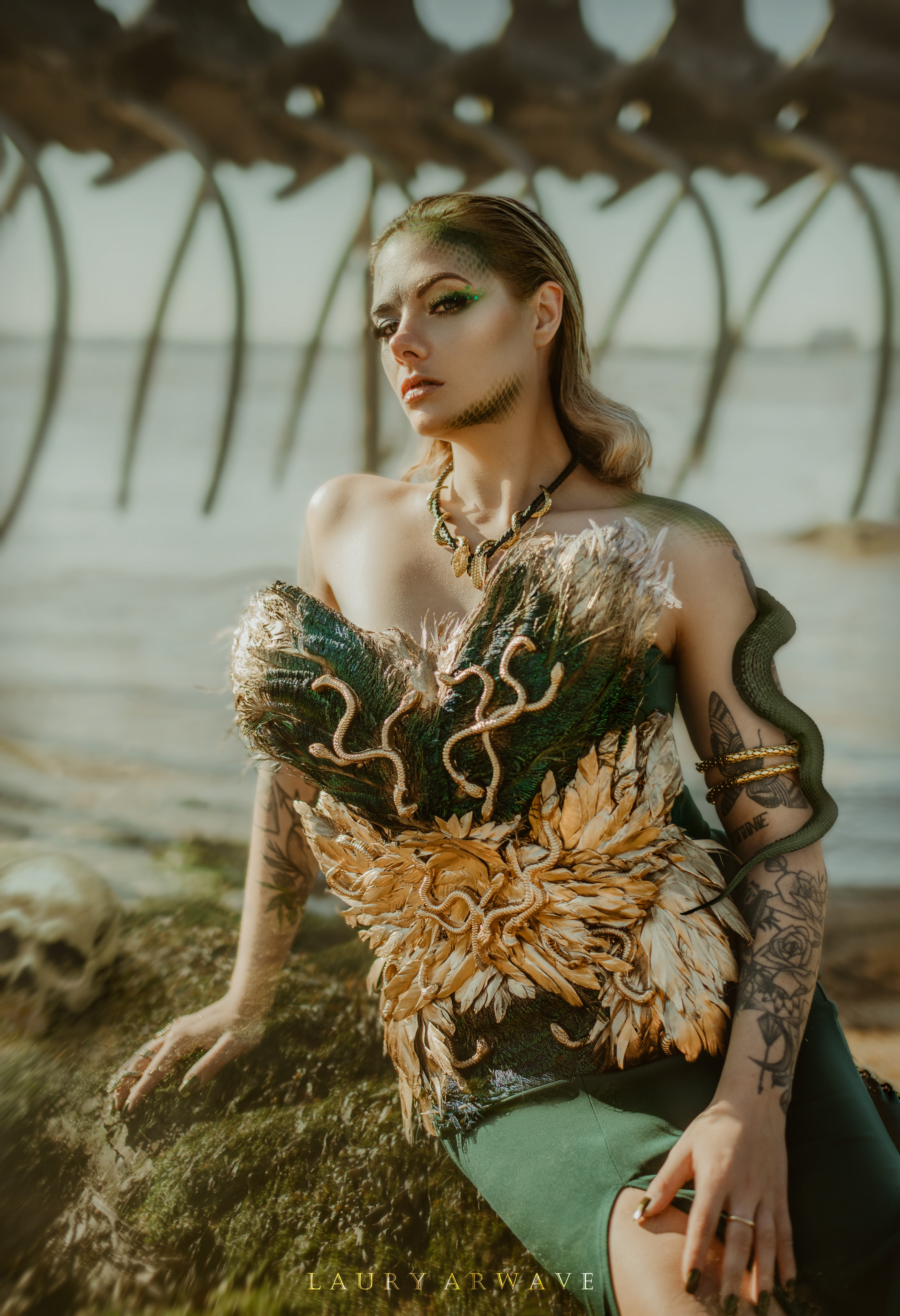 PROJET MEDUSA - Modèle Romane