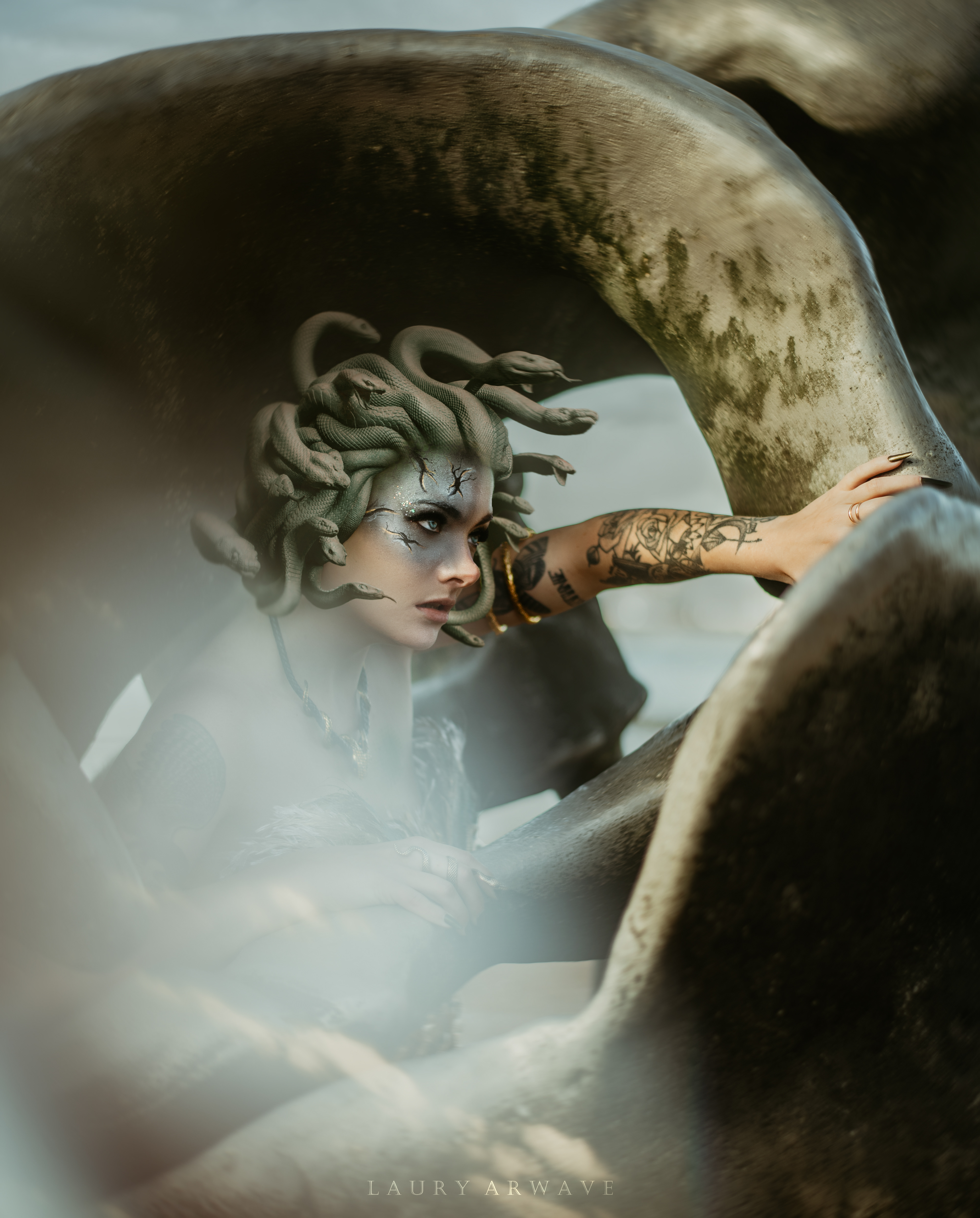 PROJET MEDUSA - Modèle Romane
