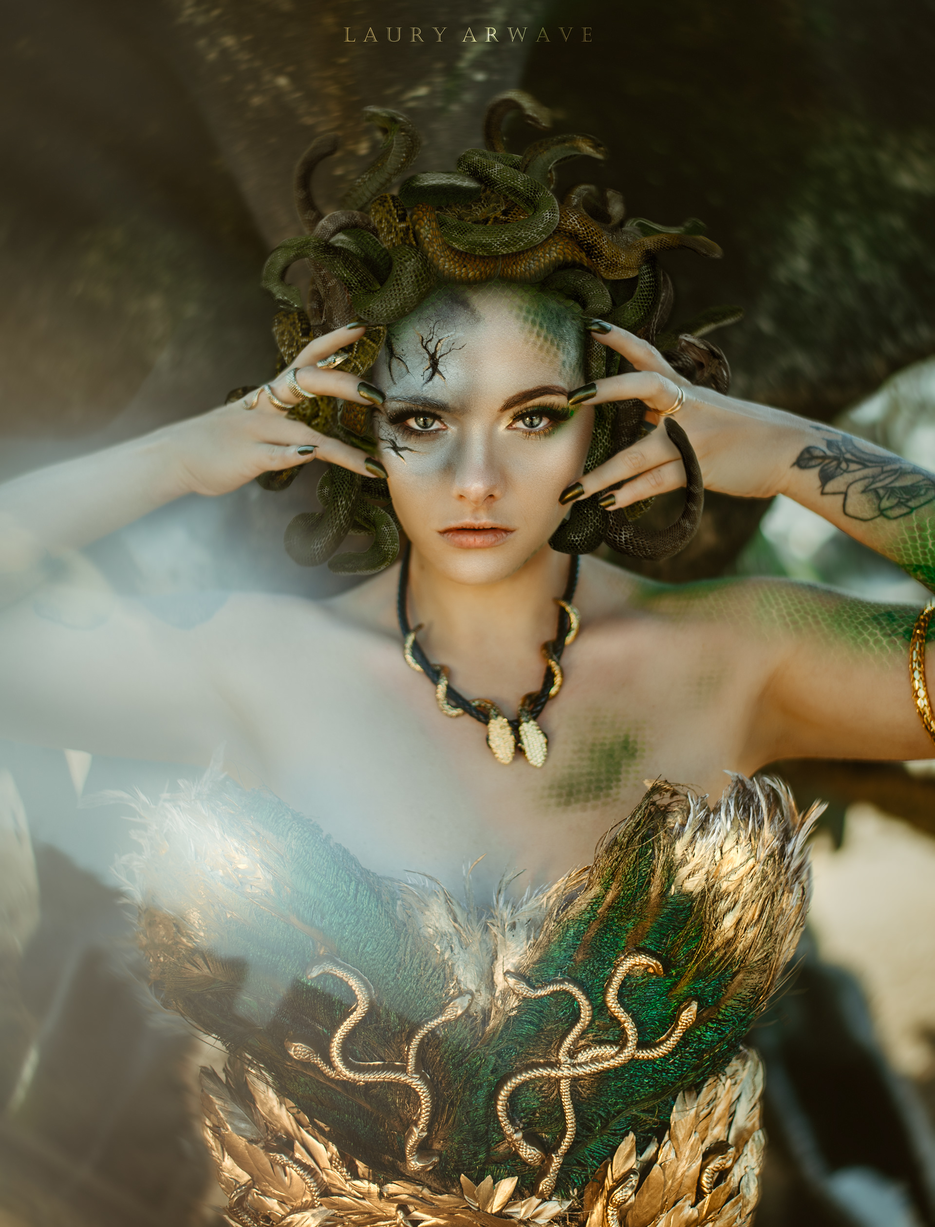 PROJET MEDUSA - Modèle Romane