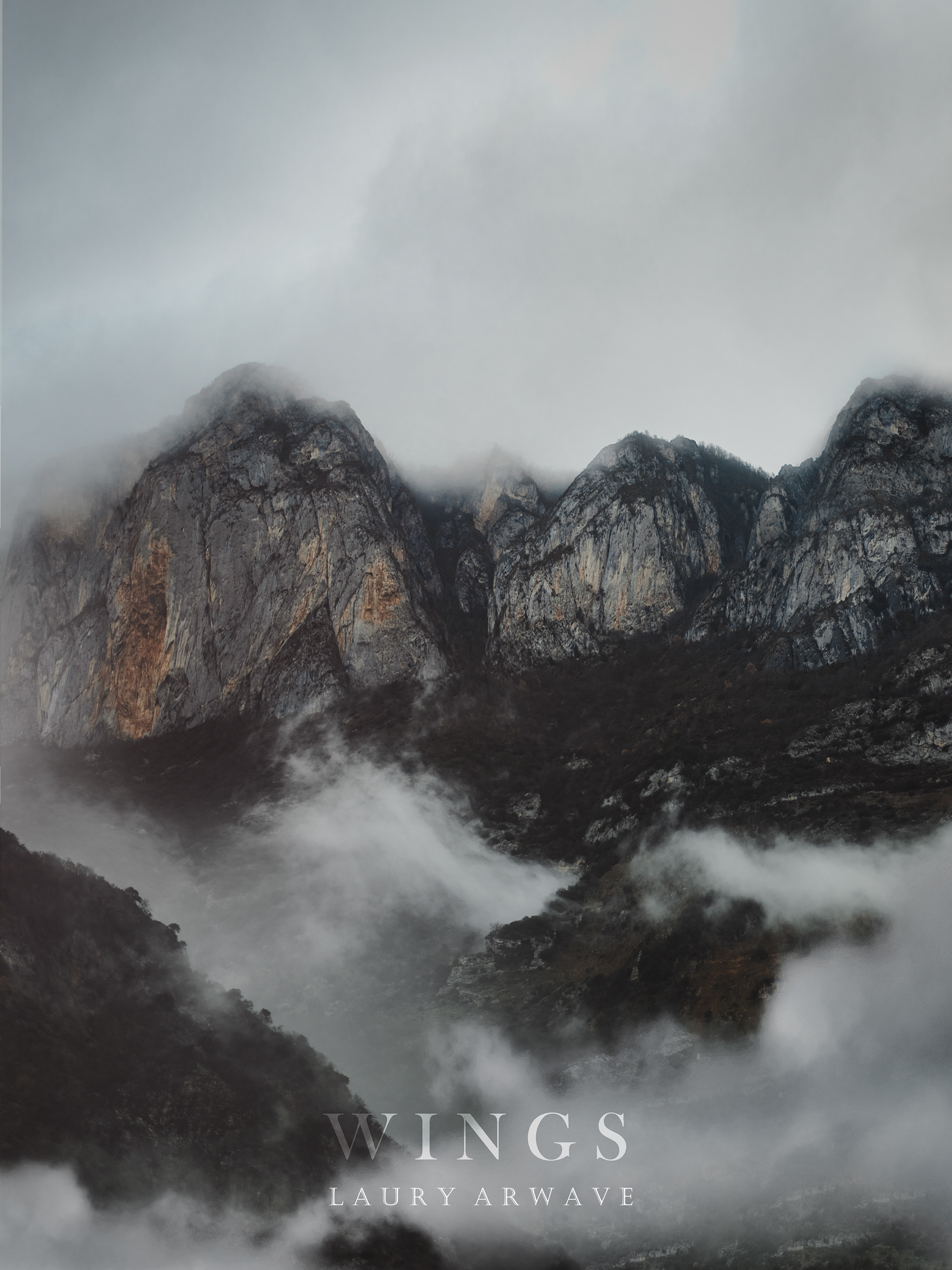 WINGS - Les Pyrénées 2022 Février