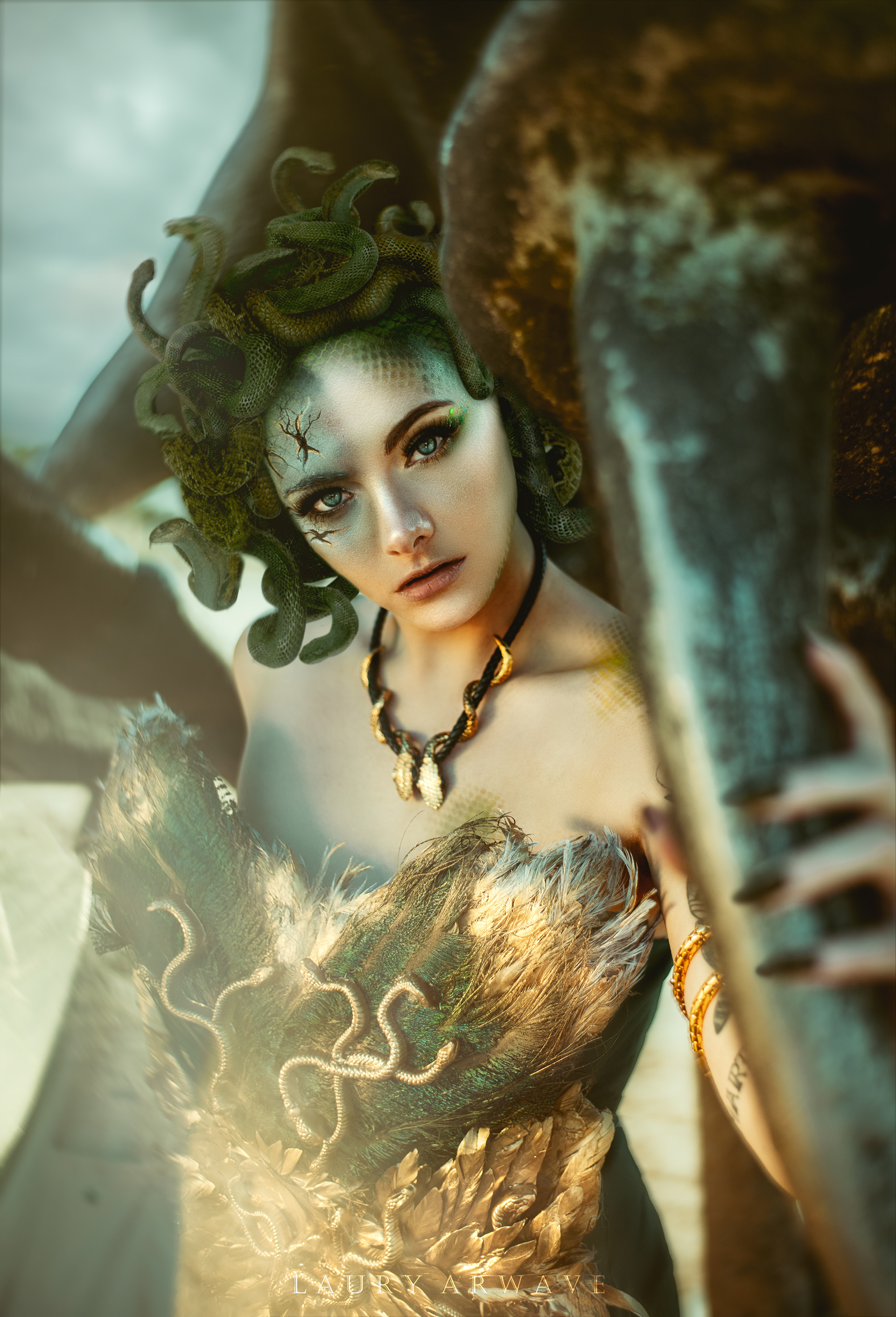 PROJET MEDUSA - Modèle Romane