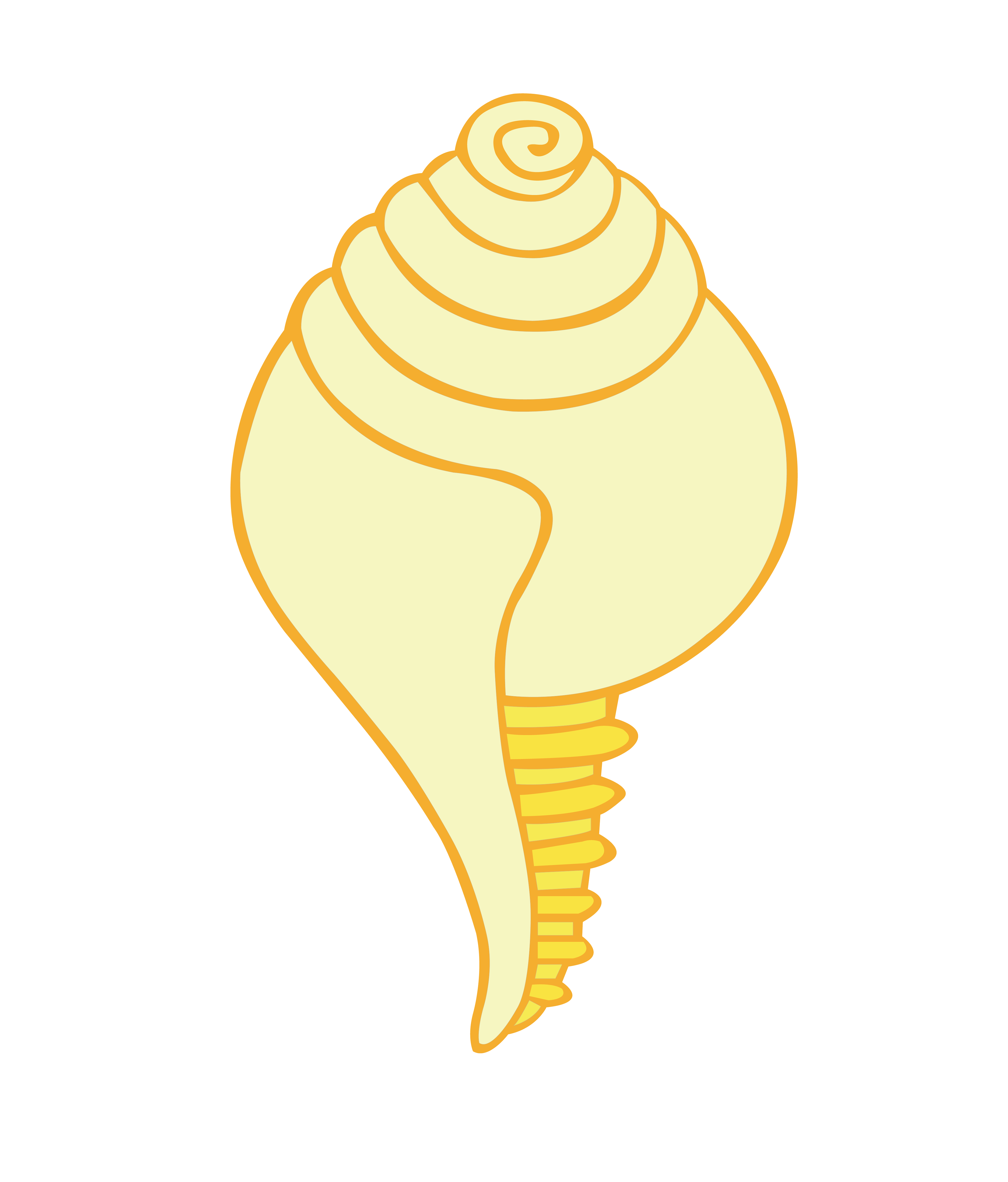 The conch shell - It is original horn-trumpet; ancient Indian mythical epics relate heroes carrying conch shells. It is used on special occasions by blowing it loud to remove the negative energy with the sound.