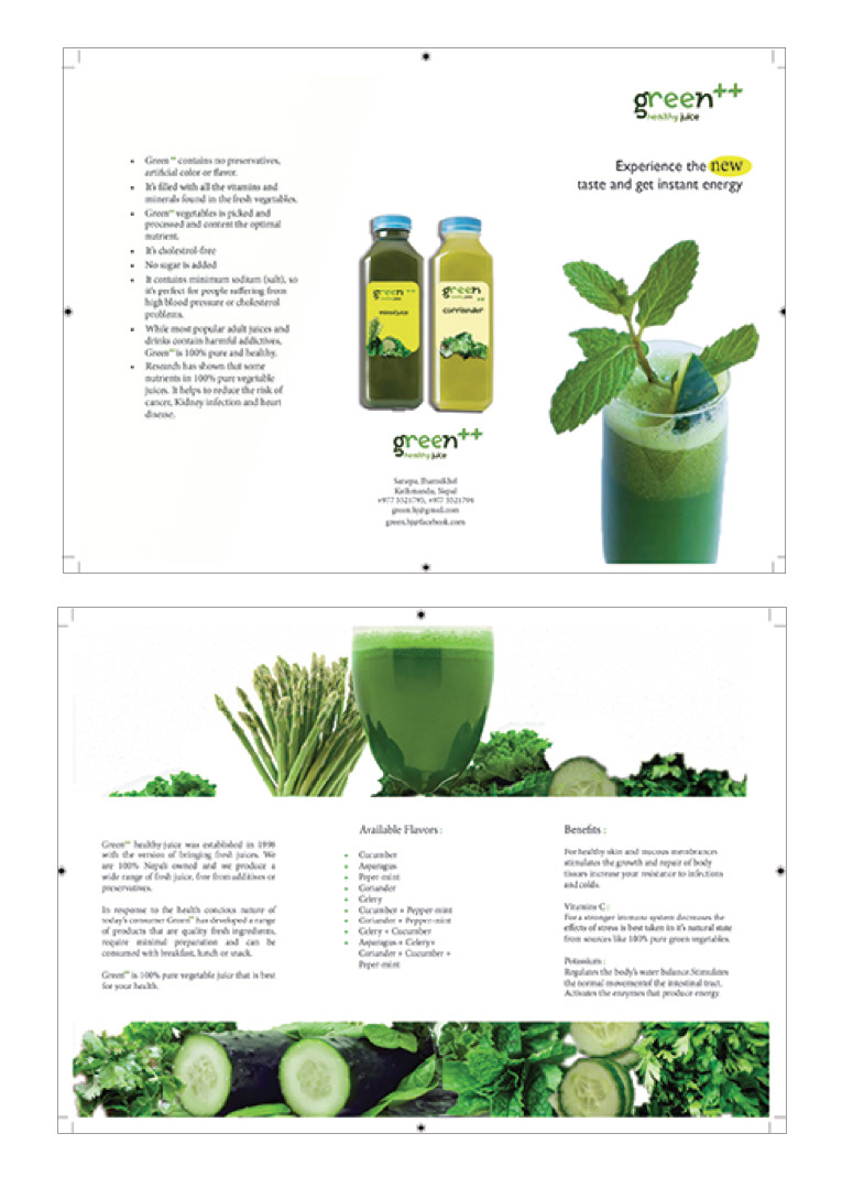 Brand Identity & Campaign, Brochure