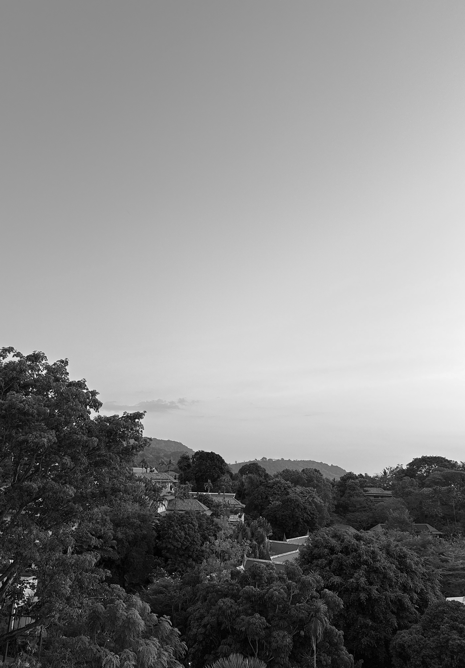 – Photography