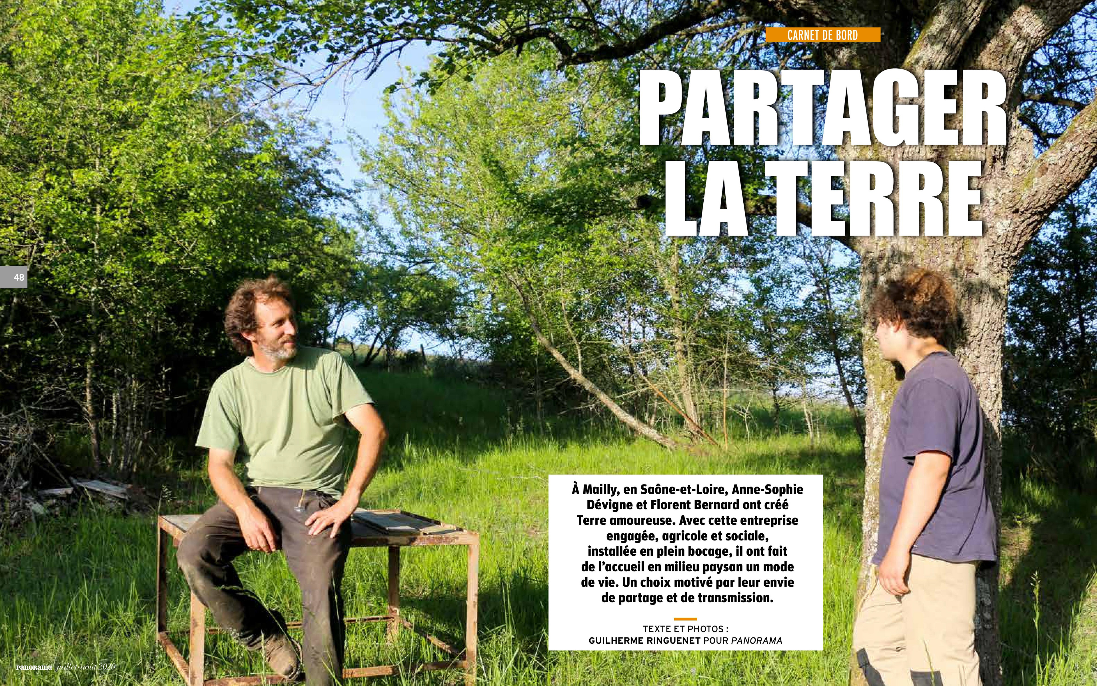 Panorama été 2020