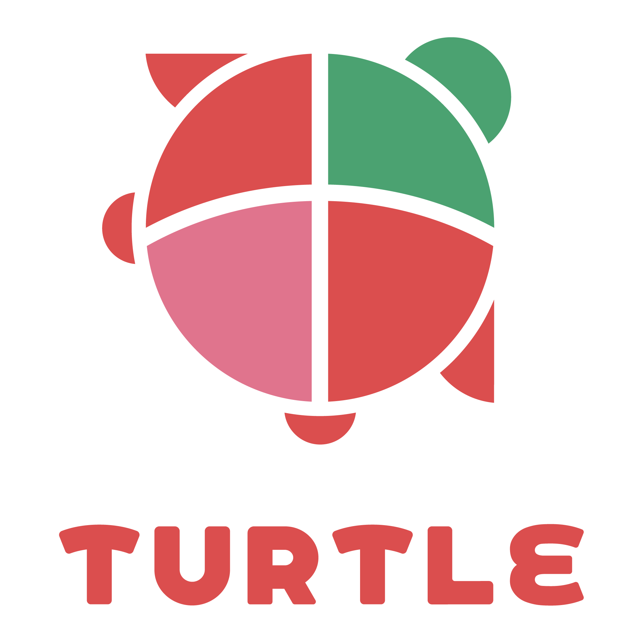 Turtle Adobe013
