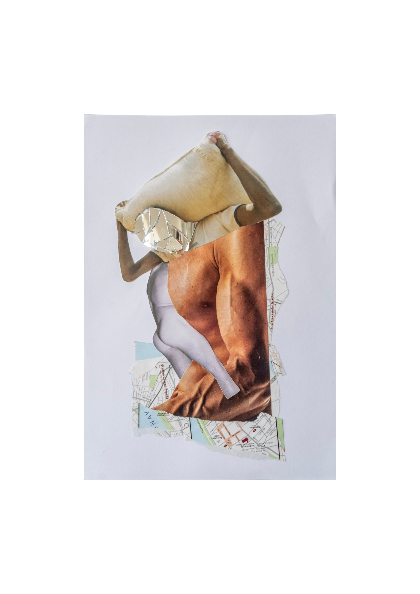 Nomadic Mind, Captive Body, Assemblage