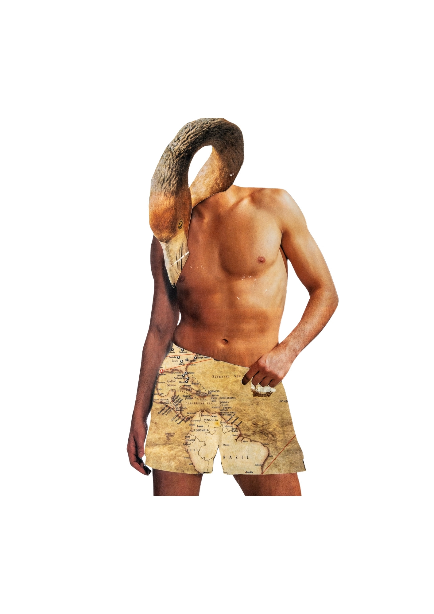 My Desires are Nomadic, Like Me, Collage