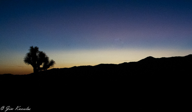 Early morning