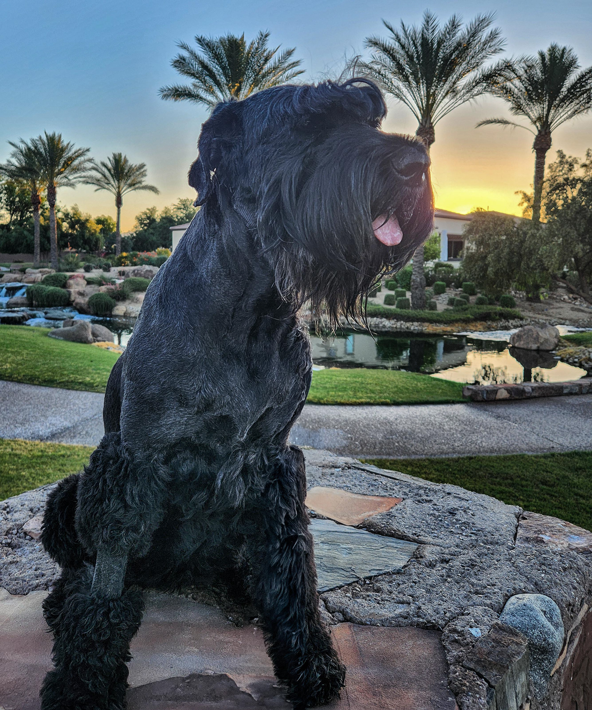 Rey after 2 days in Hospital