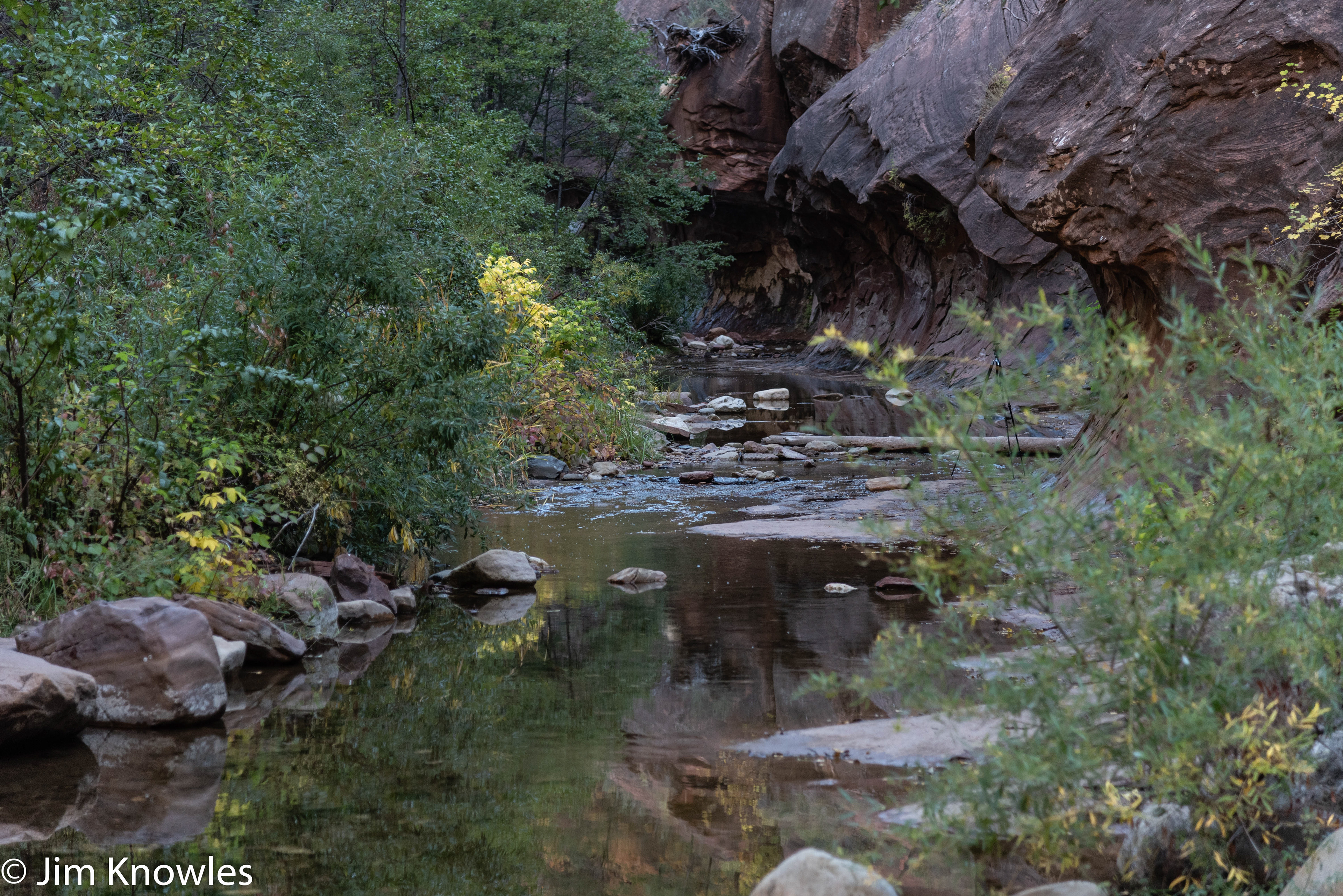 On our hike