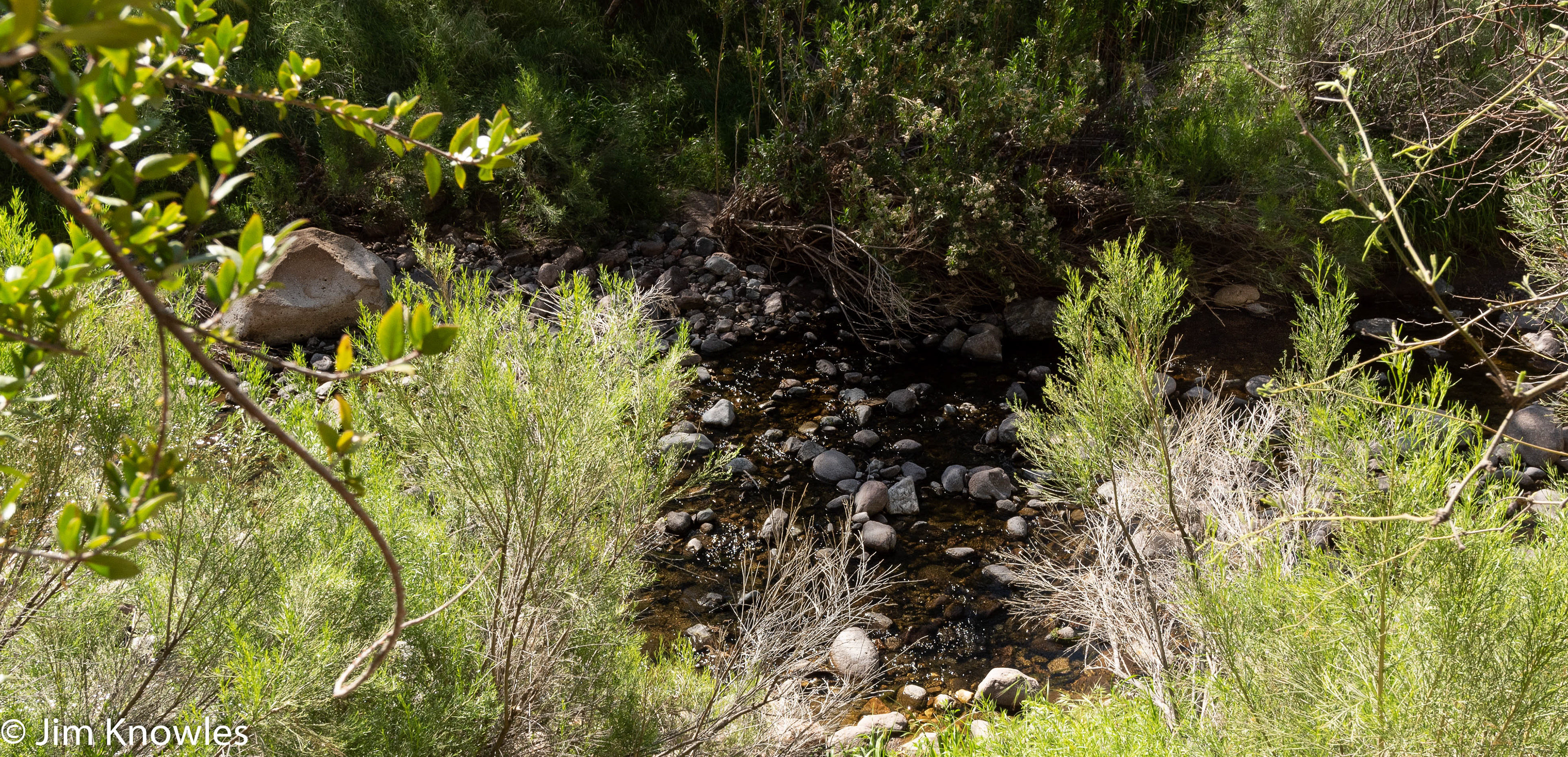 Queen Creek