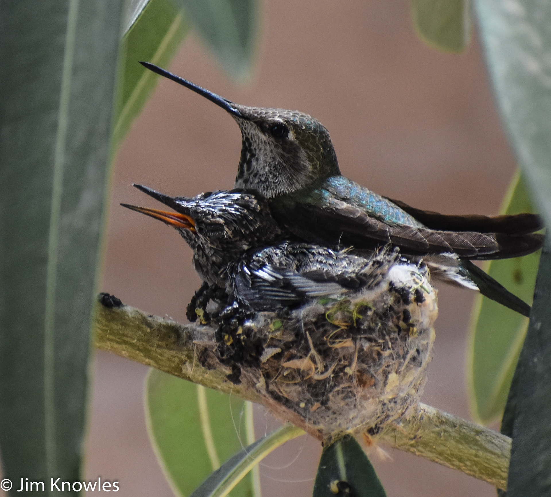 Mom and Baby