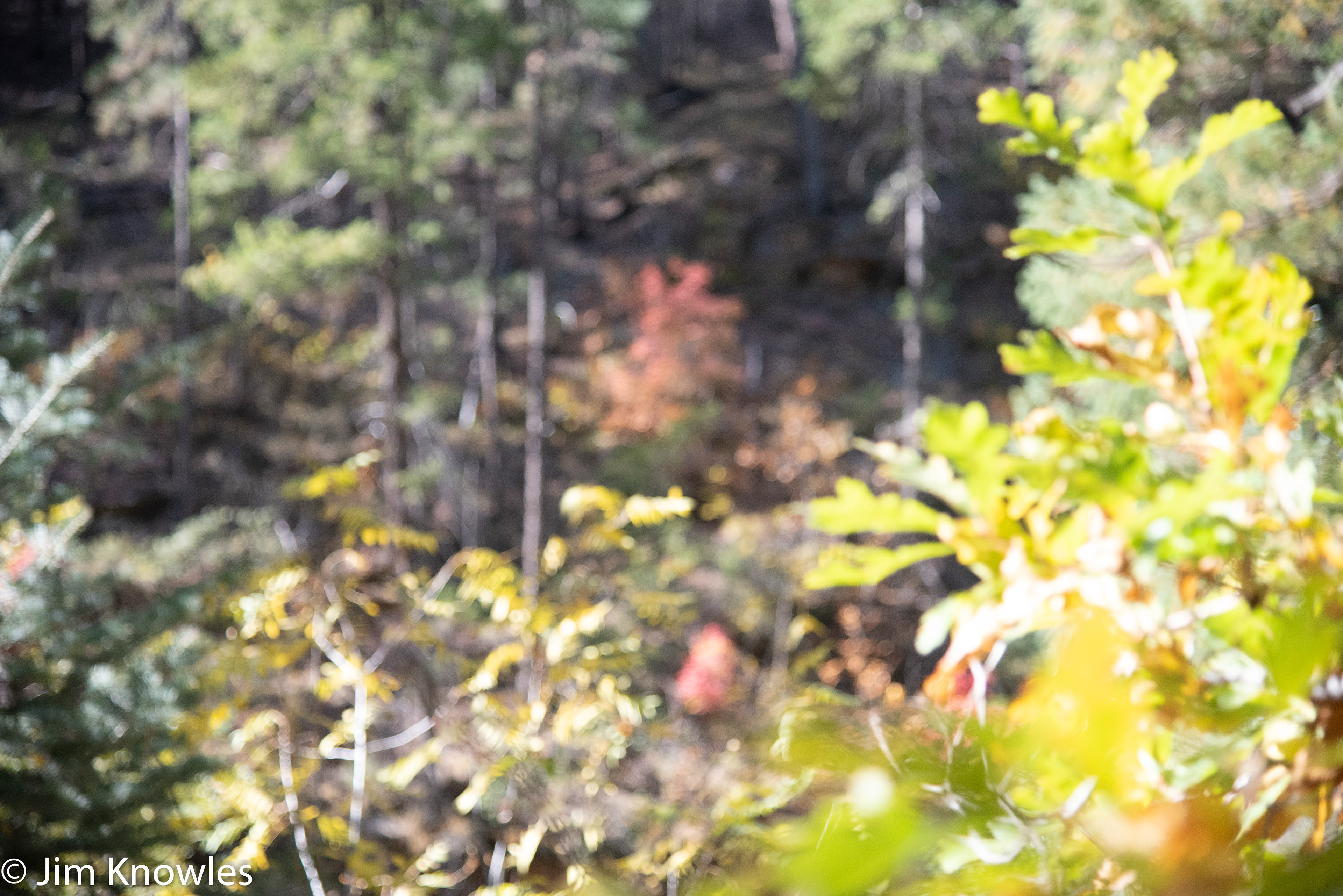 On our hike