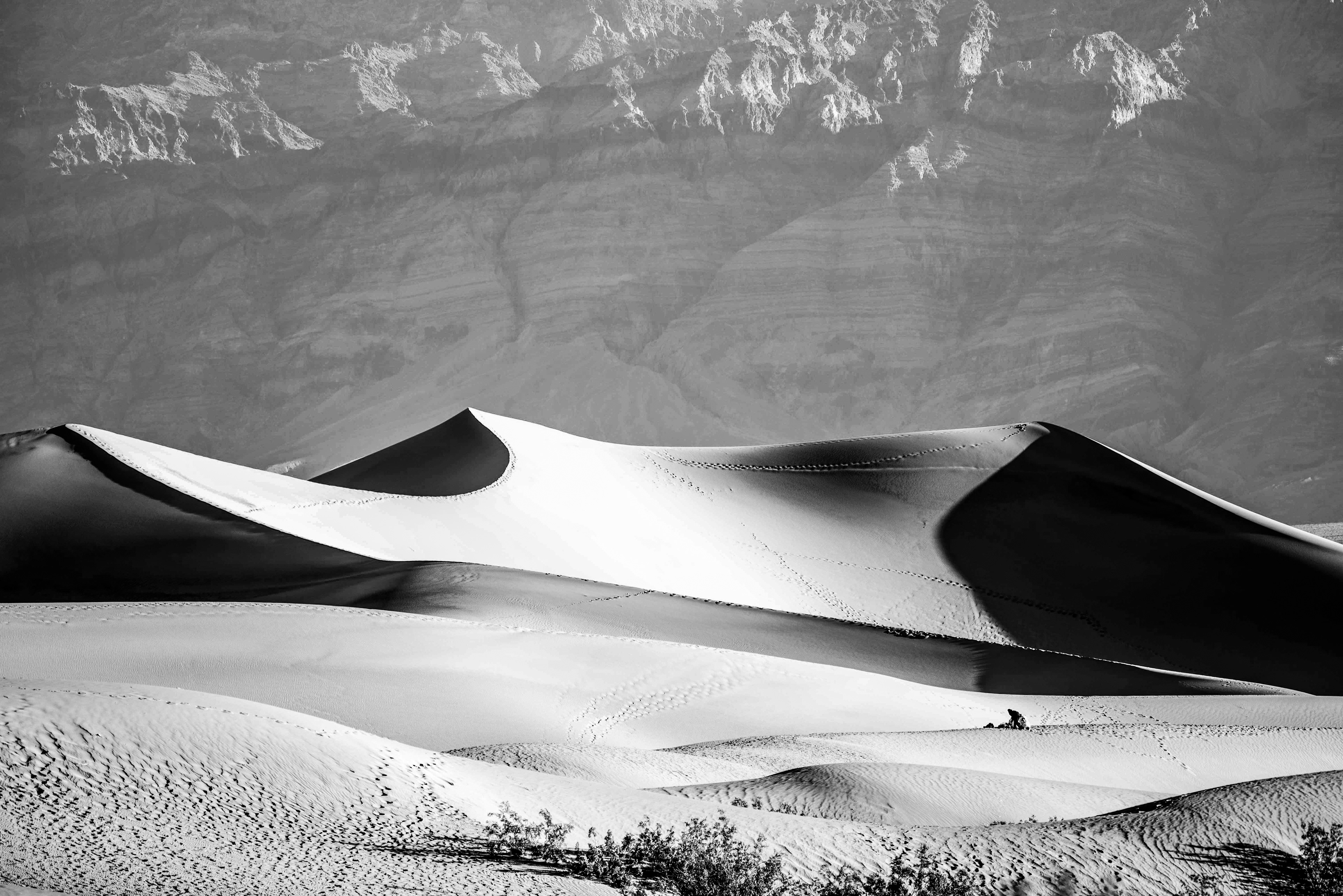 Back and white of the previos