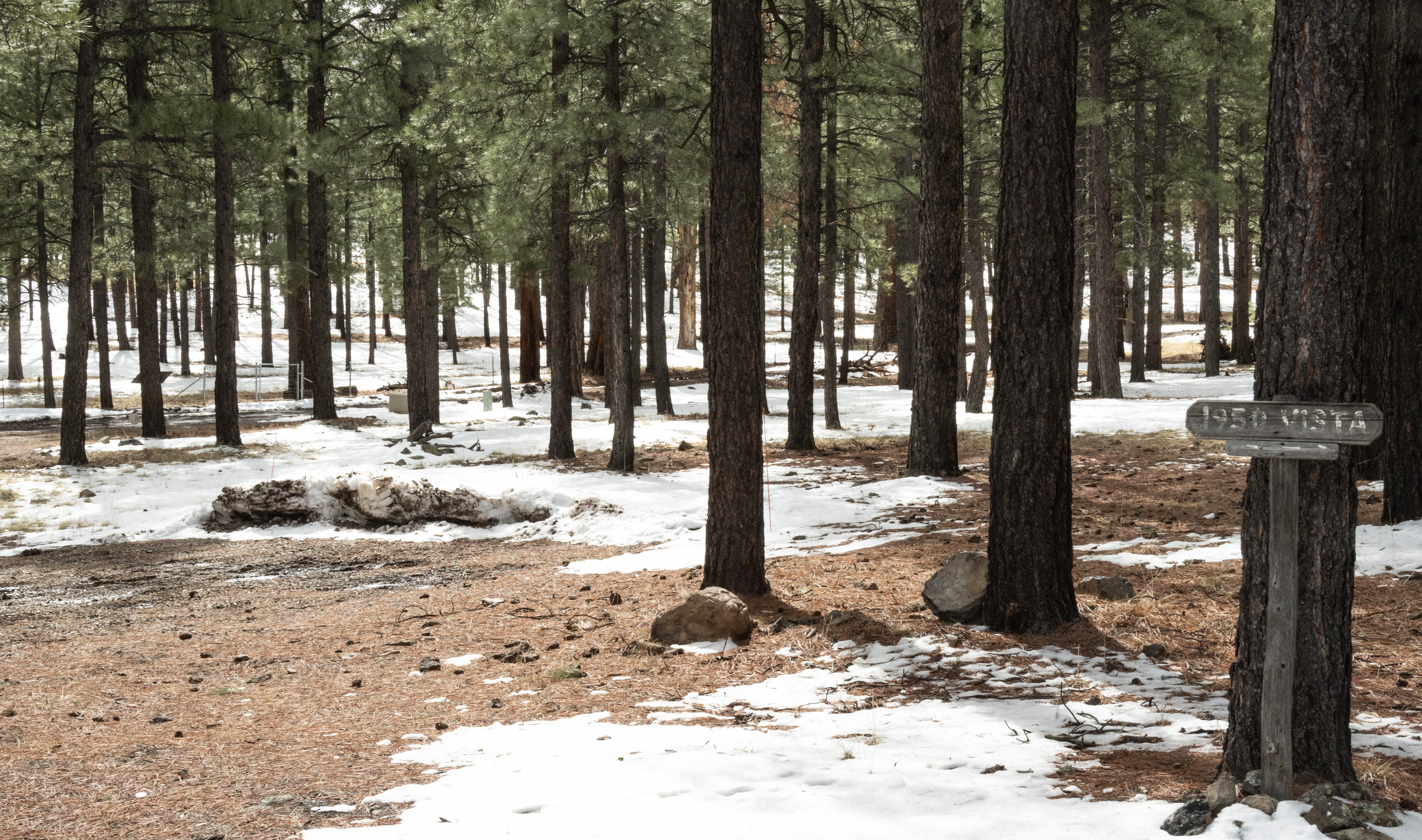 Elkhorn Cabin, Coconino National forest
