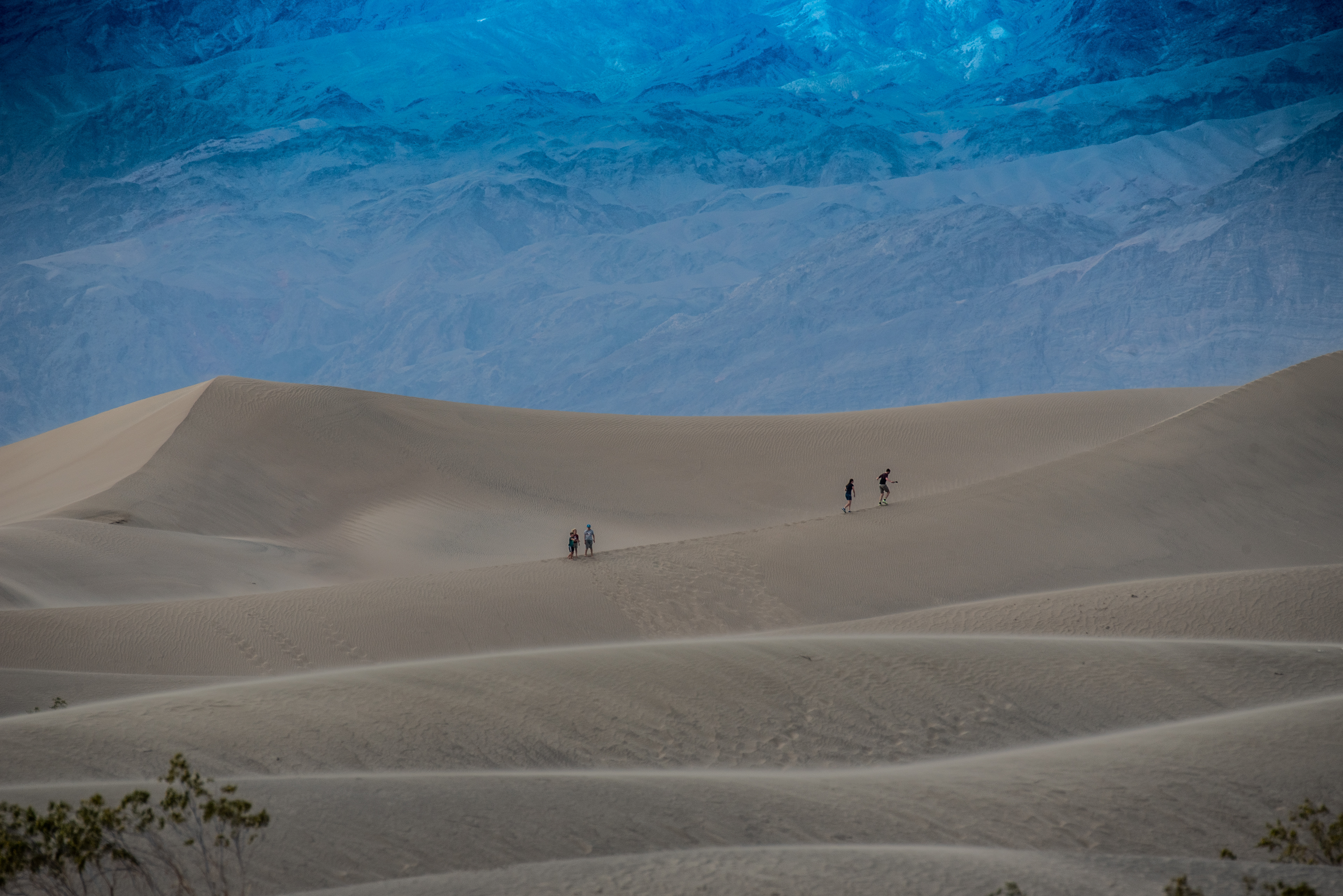 Beautiful. this was taken with the lens zoomed to 500 mm and they still look far way.
